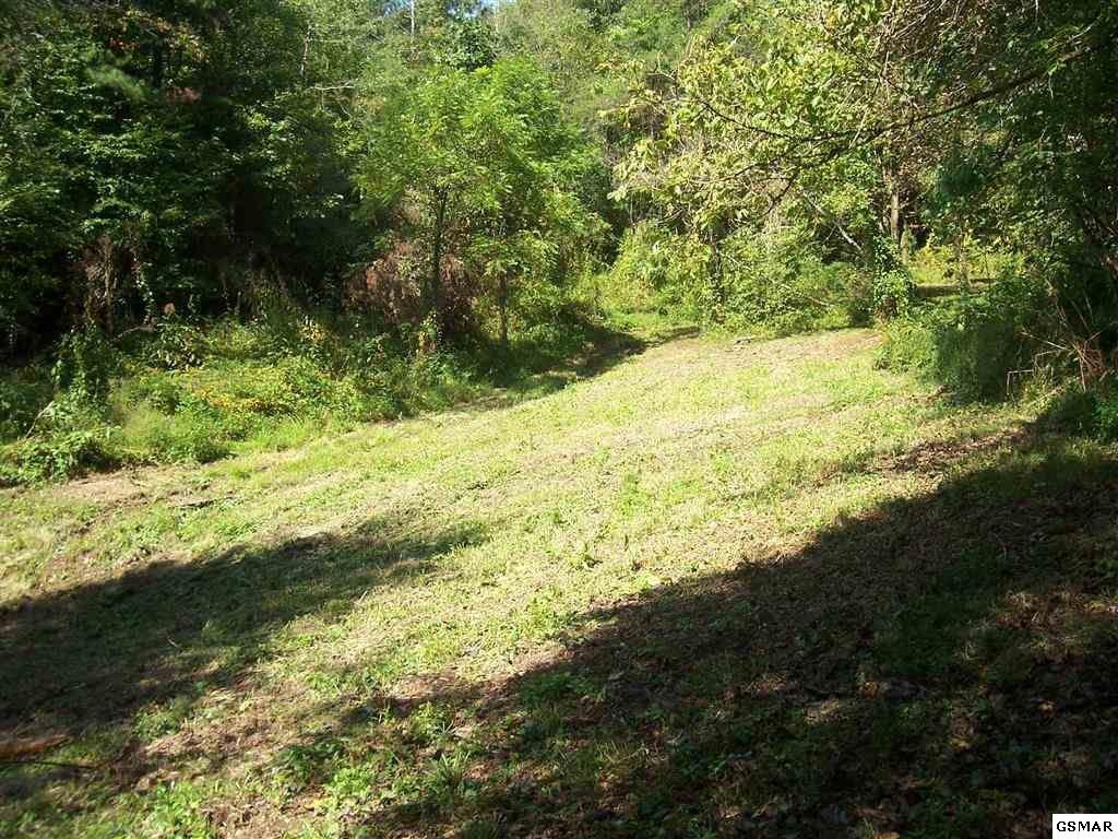 5504 Pearl Valley Road Sevierville, TN 37876 - Photo 7 of 14