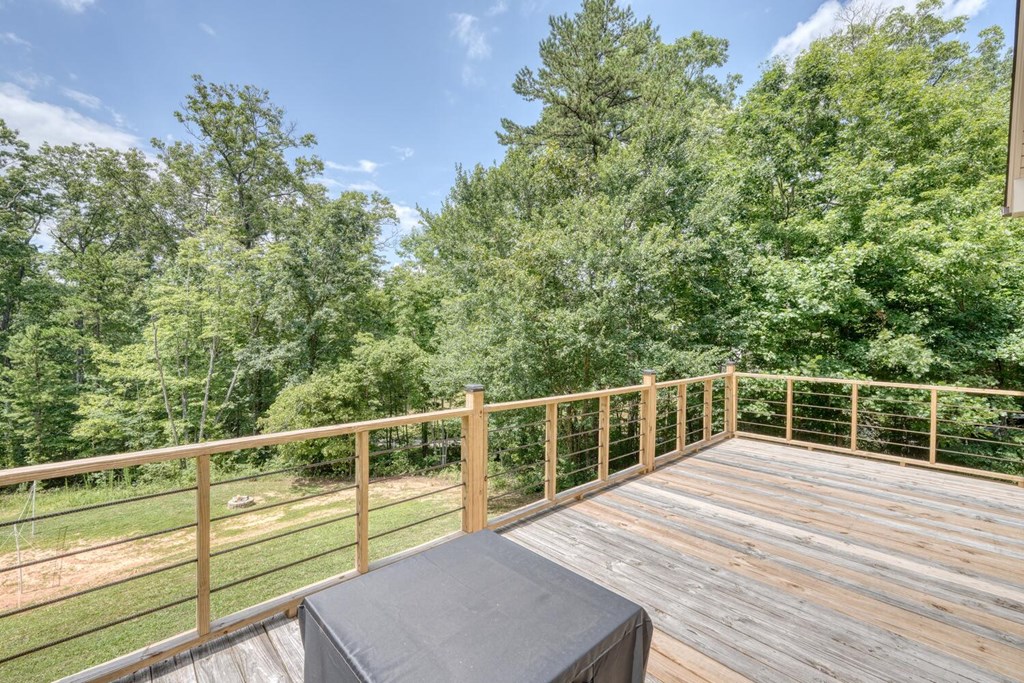 4165 Mobile Road McCaysville, GA 30555 - Photo 4 of 52 Gallery Image 4
