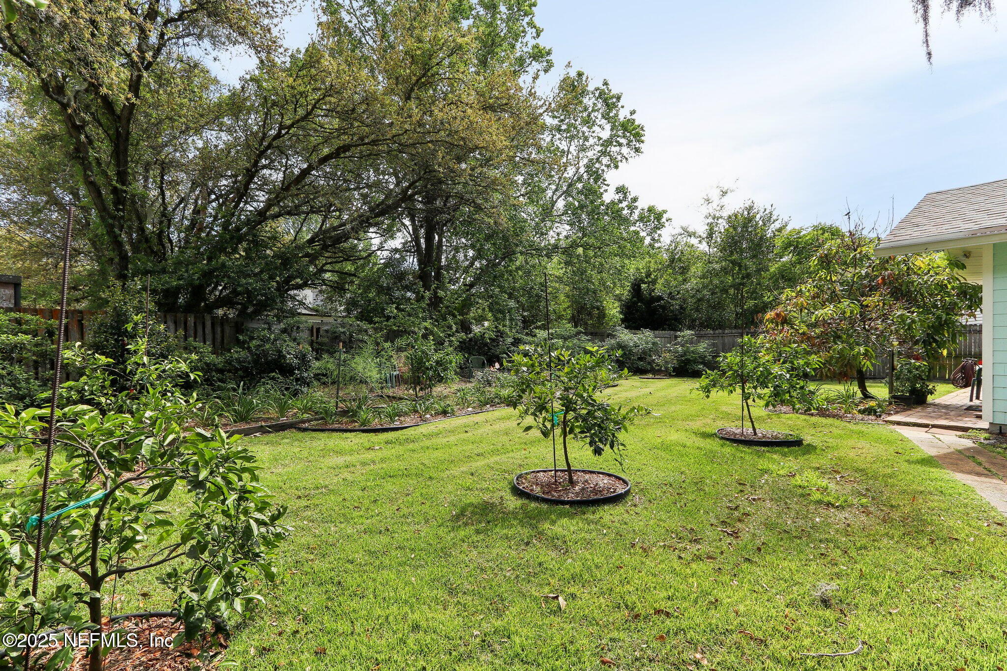 1037 Kings Road Neptune Beach, FL 32266 - Photo 32 of 44 Backyard