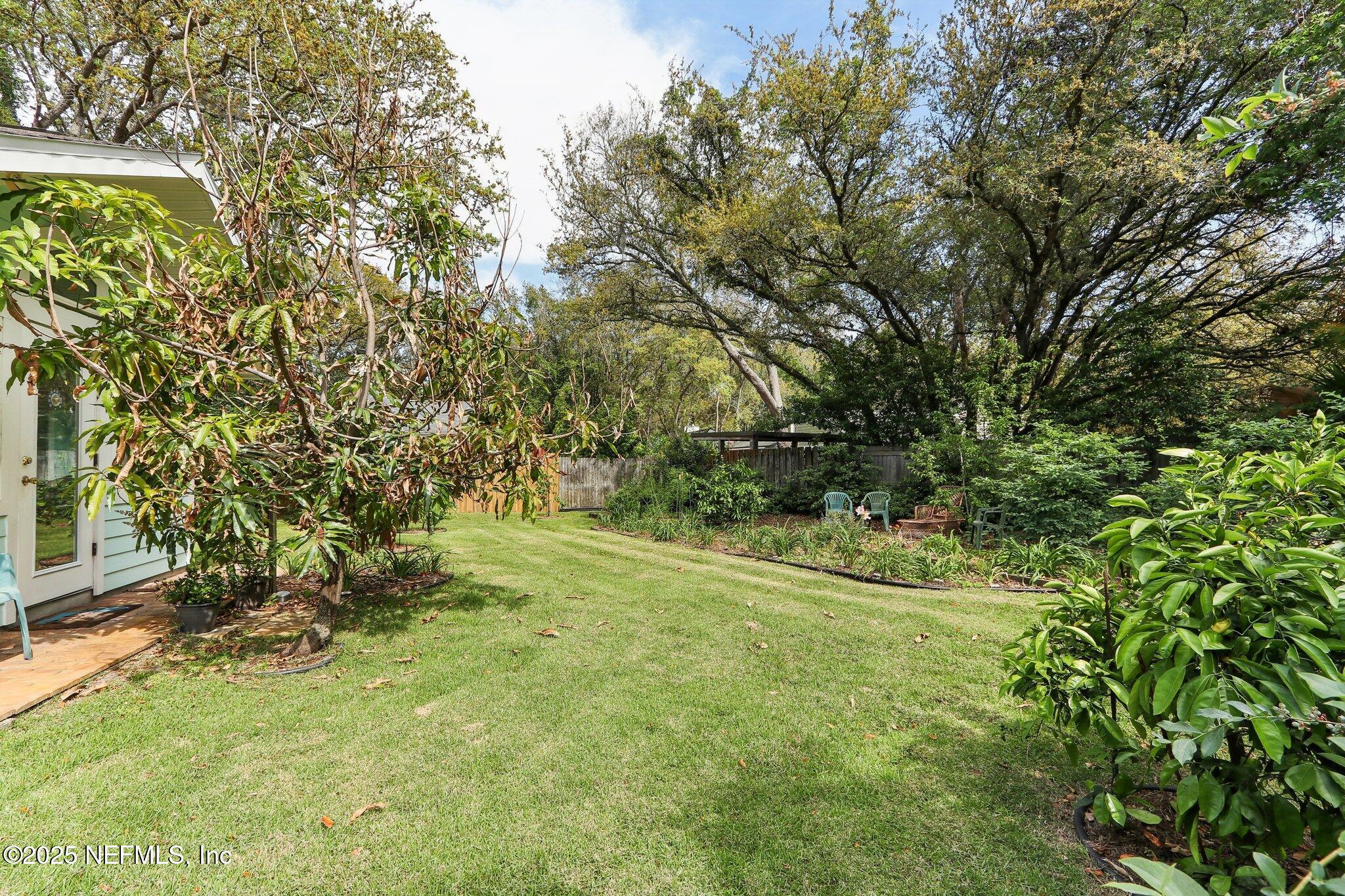 1037 Kings Road Neptune Beach, FL 32266 - Photo 33 of 44 Backyard