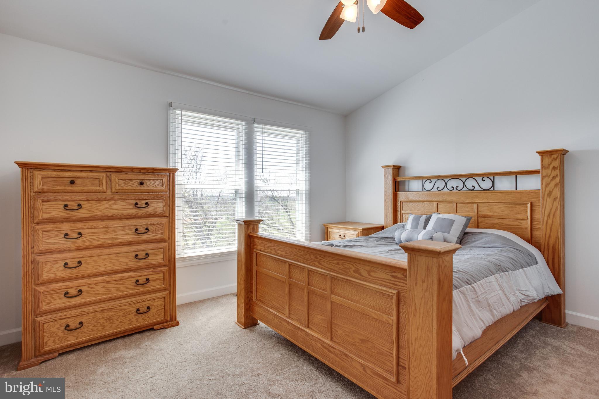 5599 Rivendell Place Frederick, MD 21703 - Photo 18 of 28 Bedroom (Master)