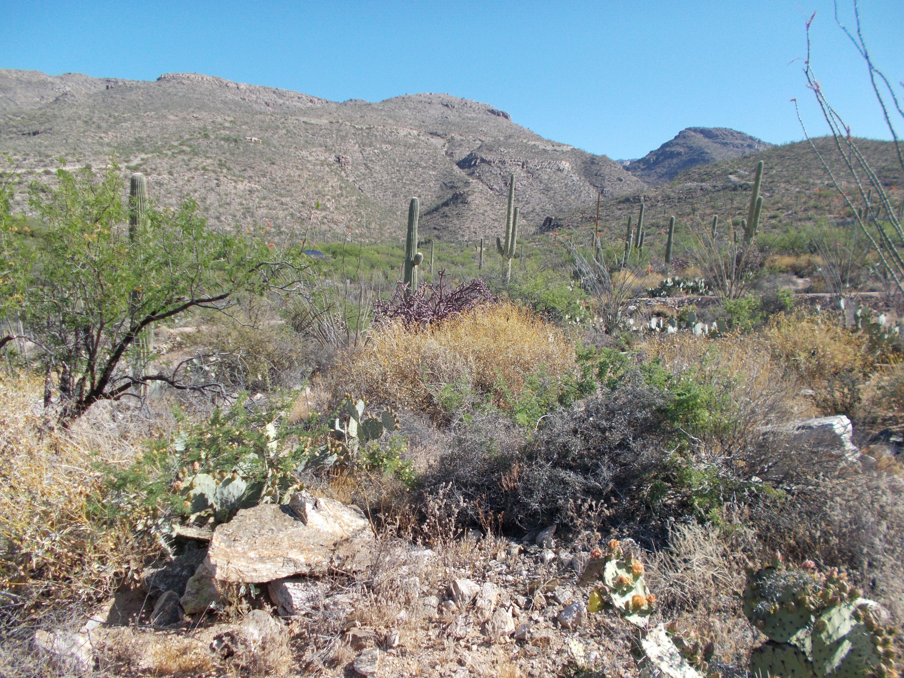 12702 East Horsehead Road Tucson, AZ 85749 - Photo 15 of 16 Gallery Image 15