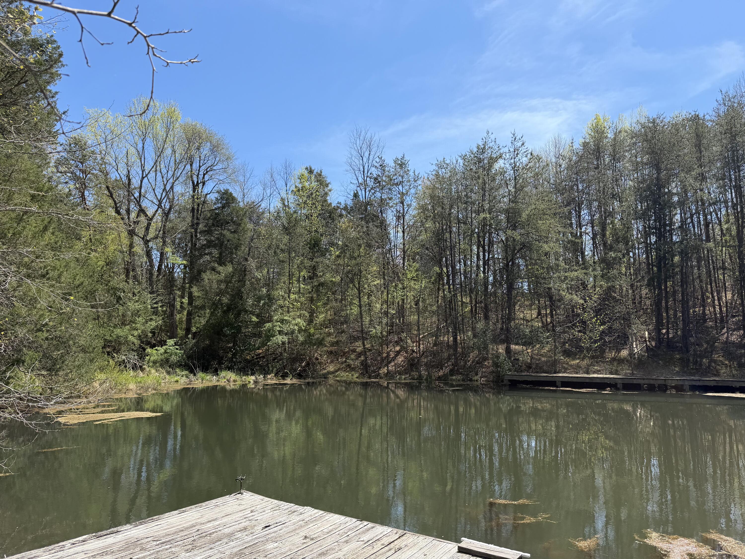 0 Greenhouse Road Glade Hill, VA 24092 - Photo 12 of 45 a view of lake