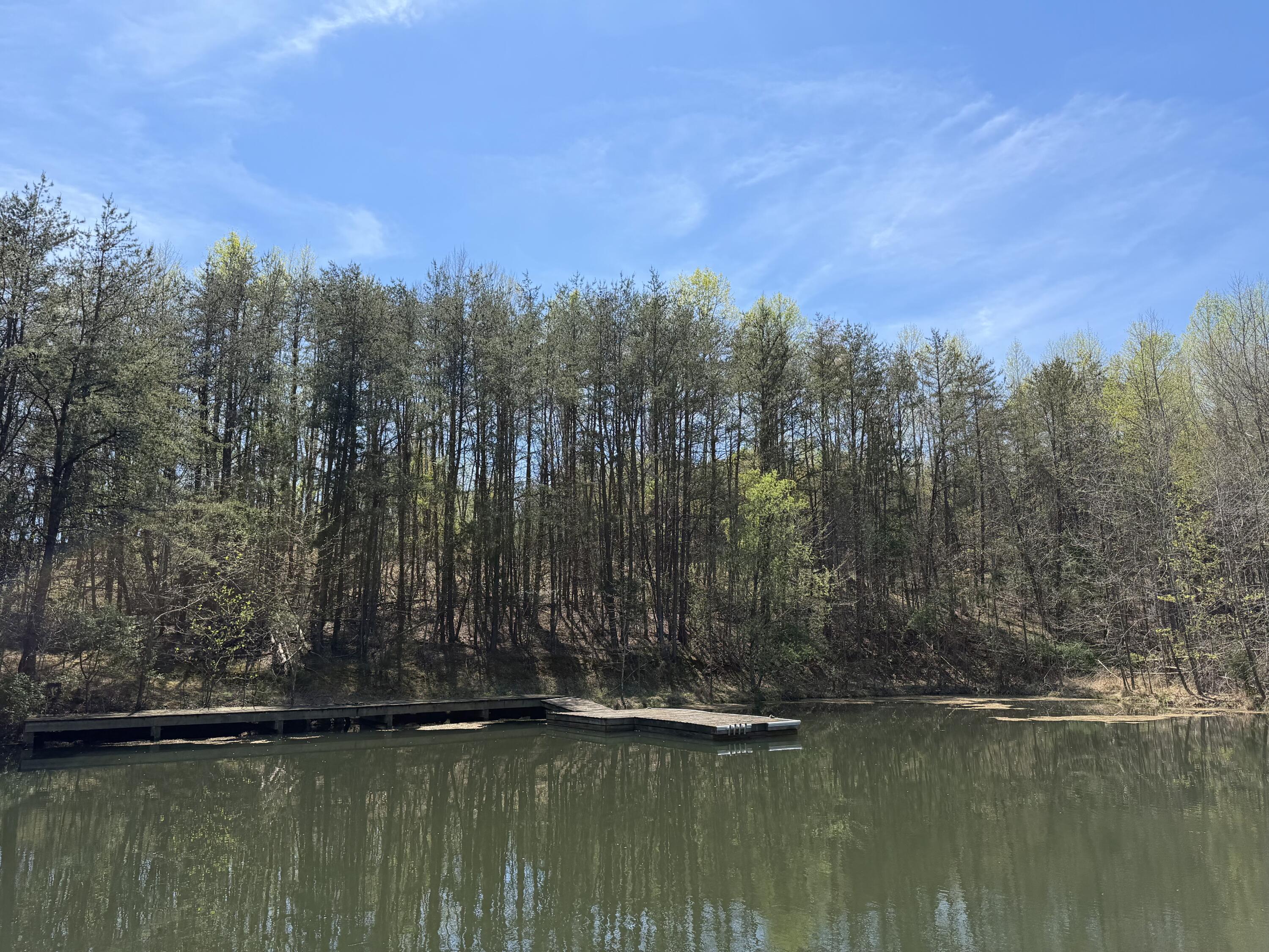 0 Greenhouse Road Glade Hill, VA 24092 - Photo 13 of 45 a view of lake with trees