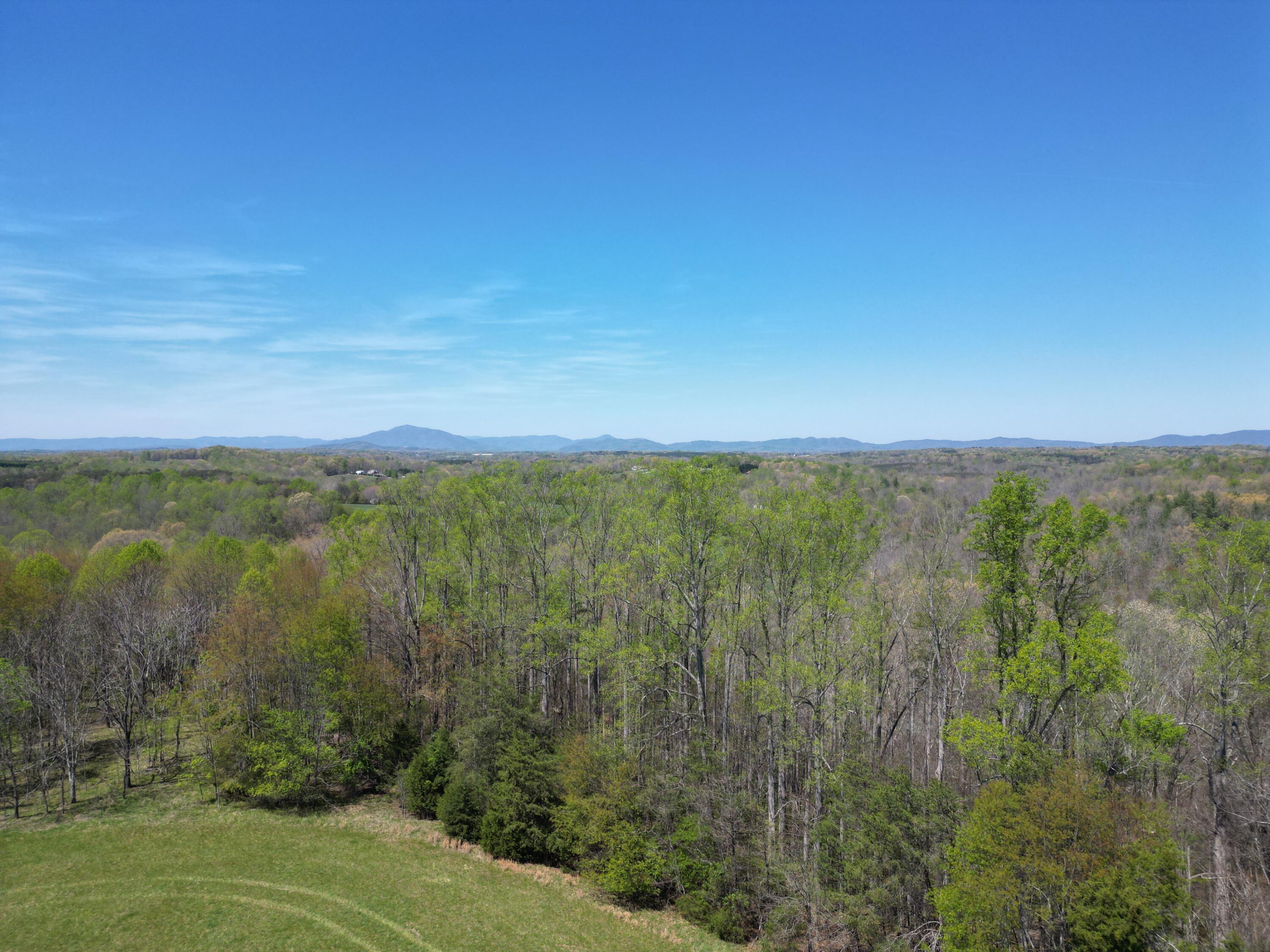 0 Greenhouse Road Glade Hill, VA 24092 - Photo 21 of 45 a view of a city with lots of palm trees