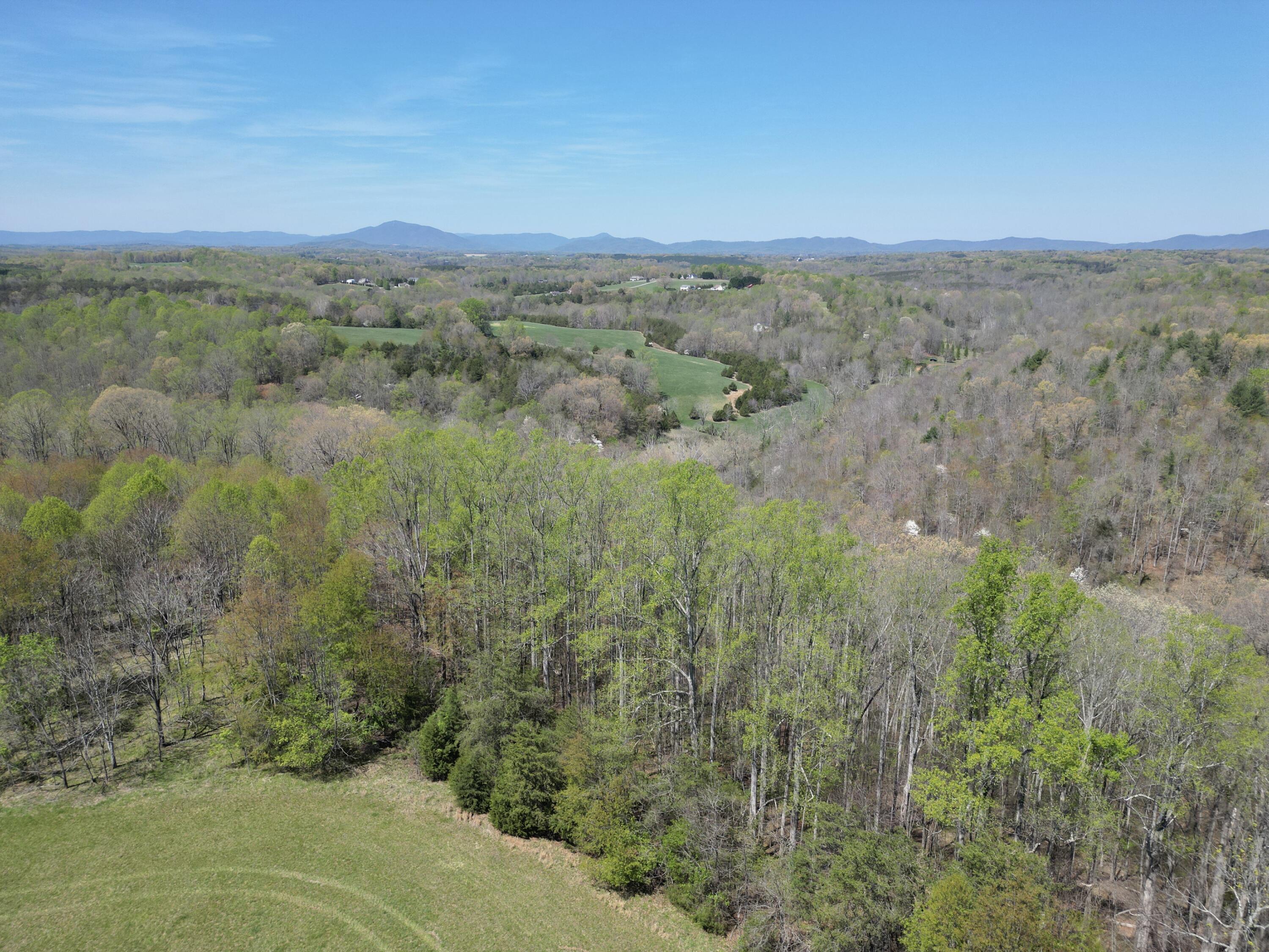 0 Greenhouse Road Glade Hill, VA 24092 - Photo 22 of 45 a view of a city with lush green forest