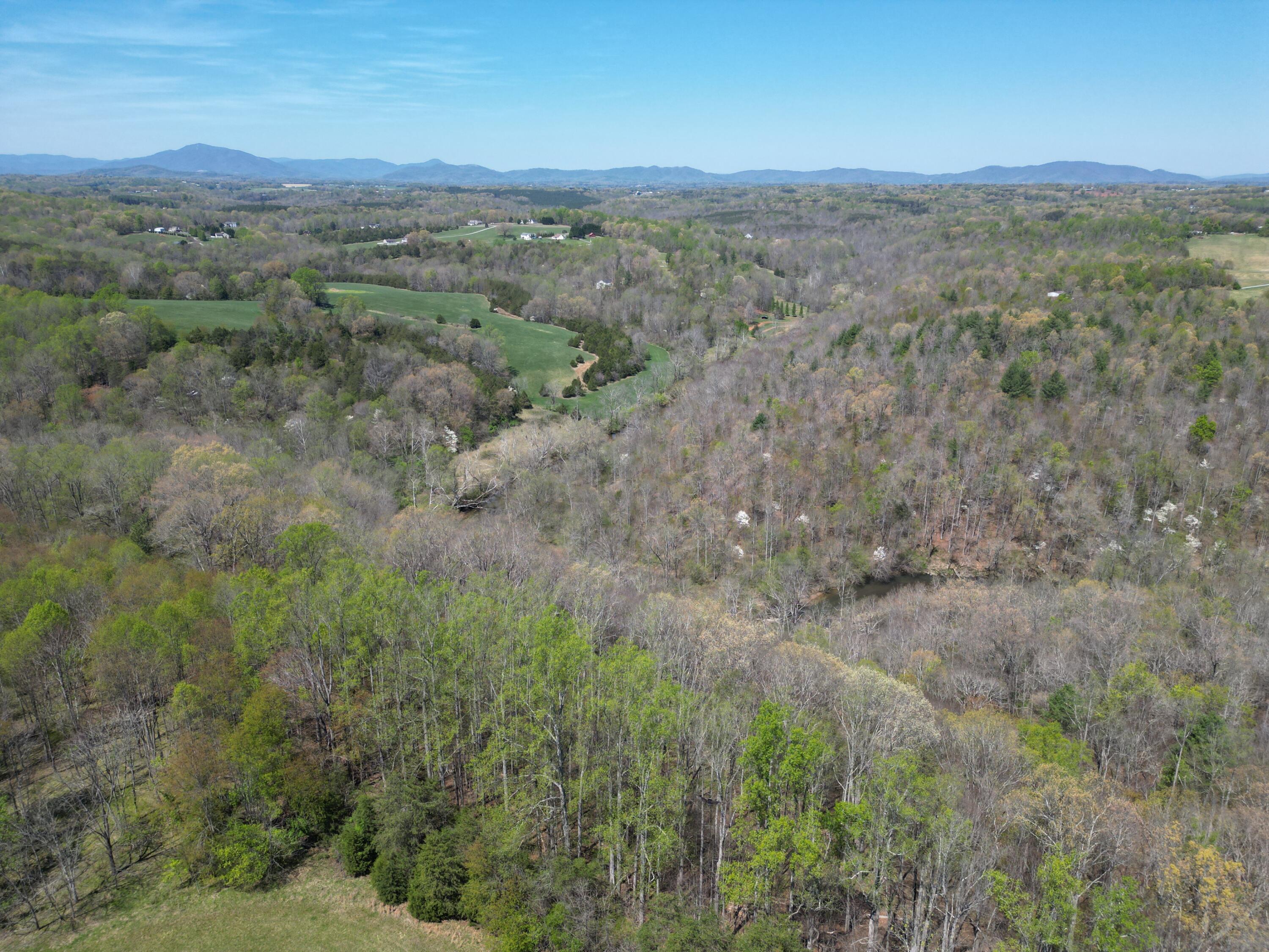 0 Greenhouse Road Glade Hill, VA 24092 - Photo 23 of 45