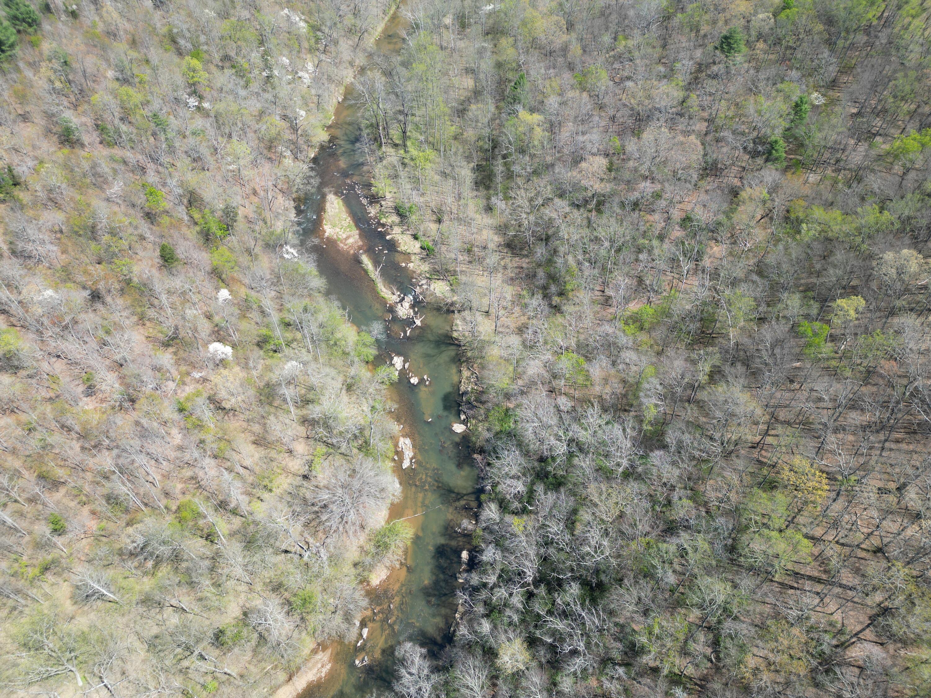 0 Greenhouse Road Glade Hill, VA 24092 - Photo 24 of 45