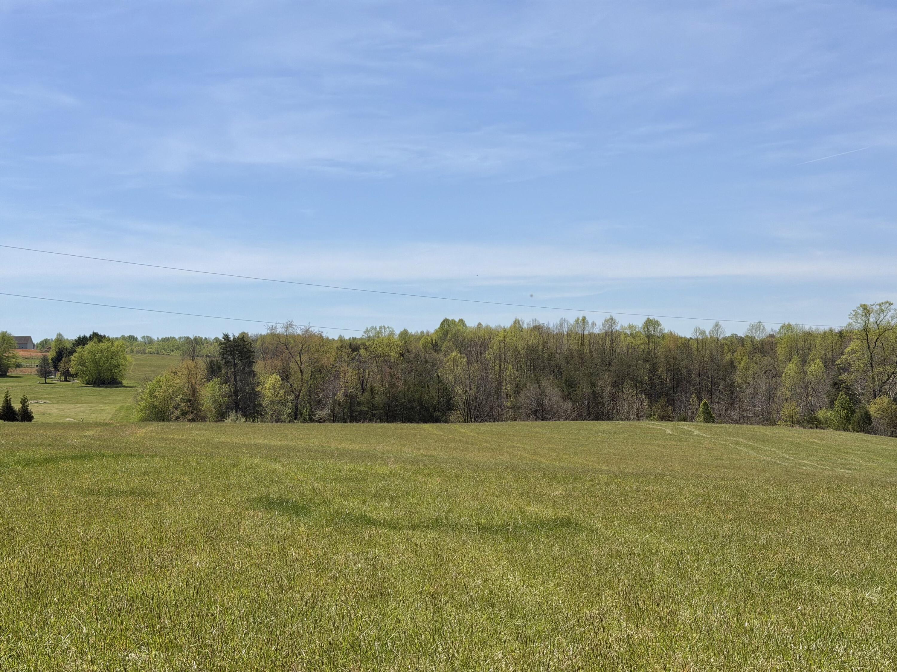0 Greenhouse Road Glade Hill, VA 24092 - Photo 40 of 45 a view of a field with an ocean beach