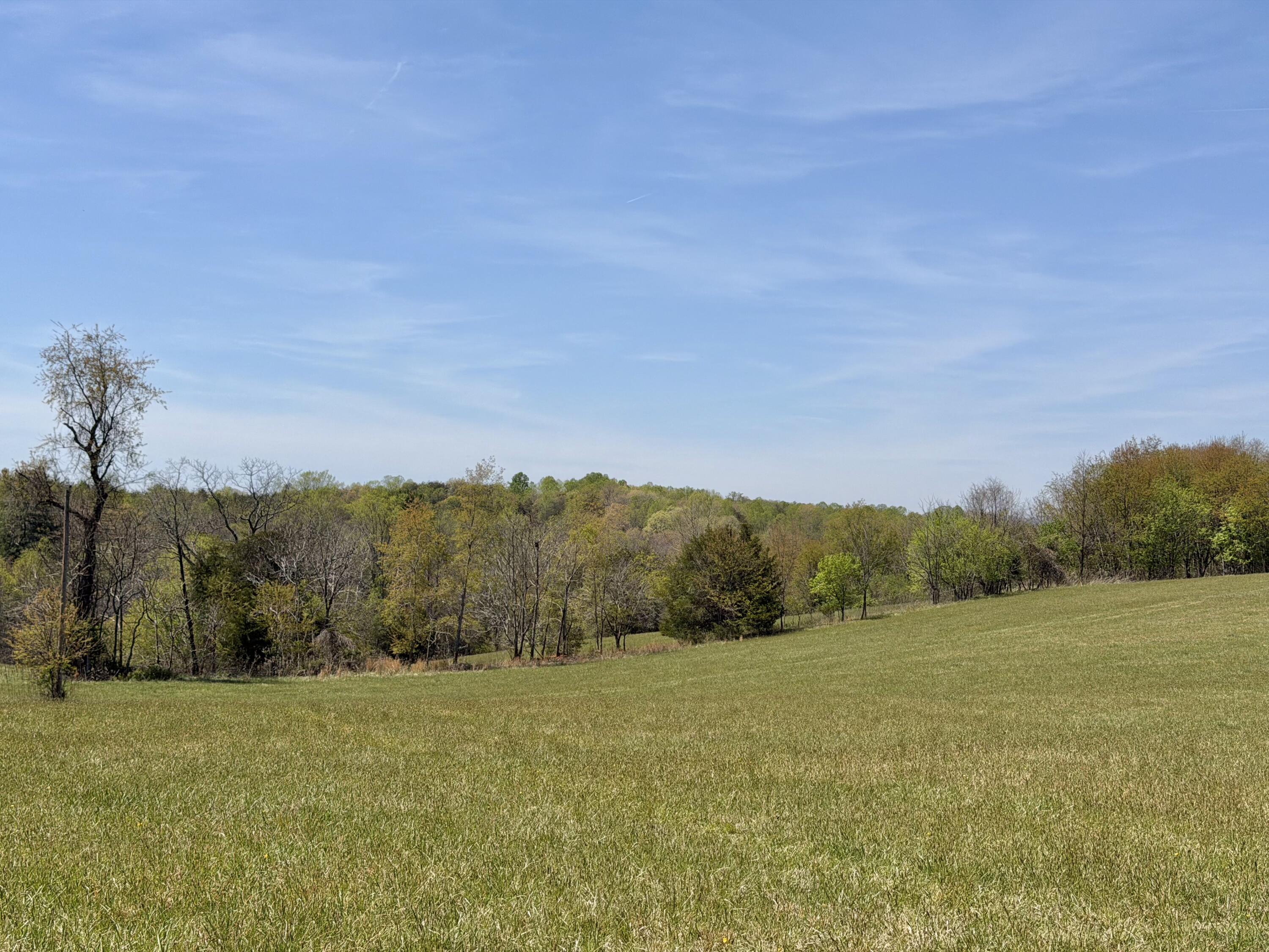 0 Greenhouse Road Glade Hill, VA 24092 - Photo 41 of 45 a view of a field with an ocean