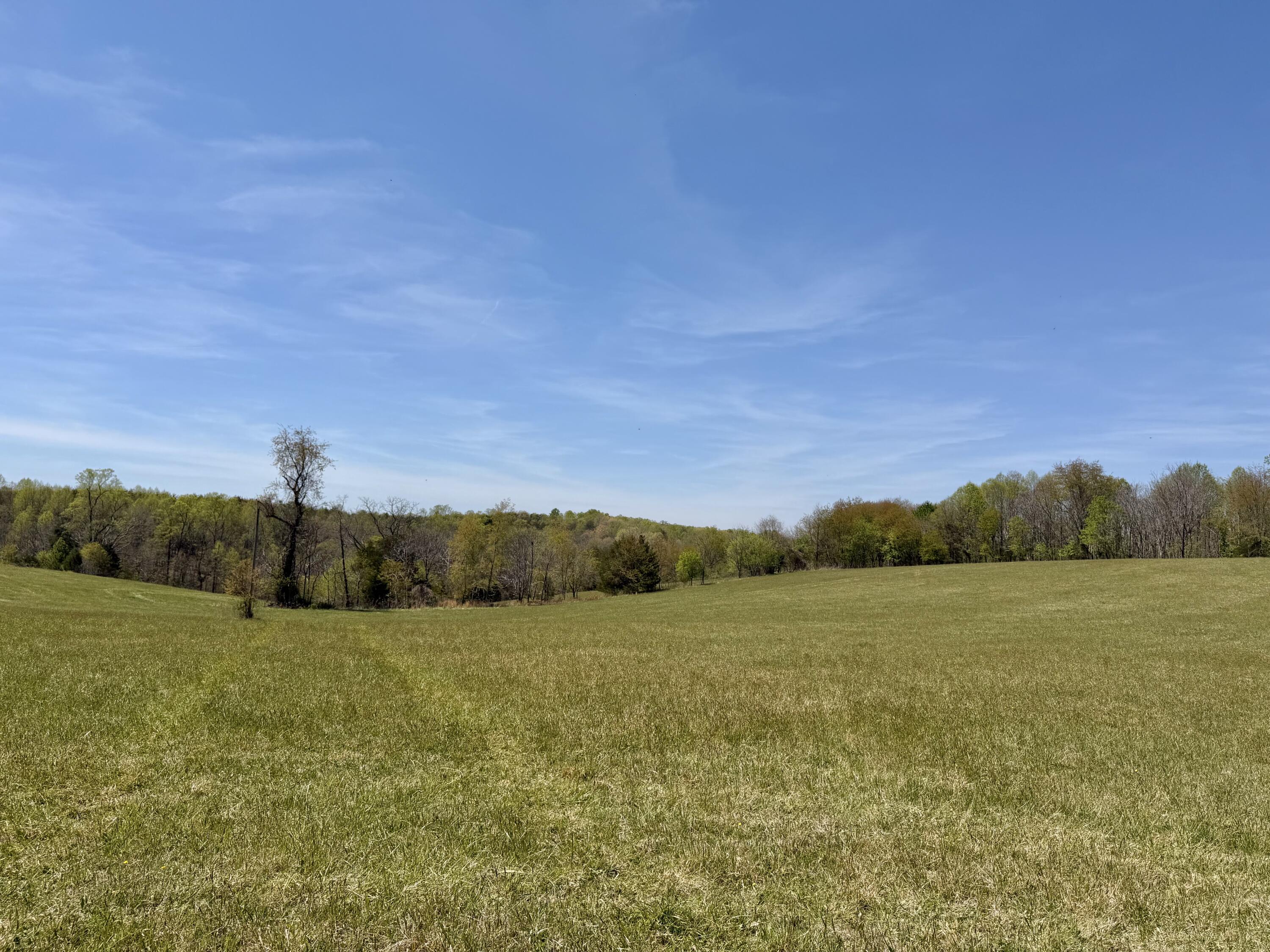 0 Greenhouse Road Glade Hill, VA 24092 - Photo 42 of 45 a view of a field with an ocean