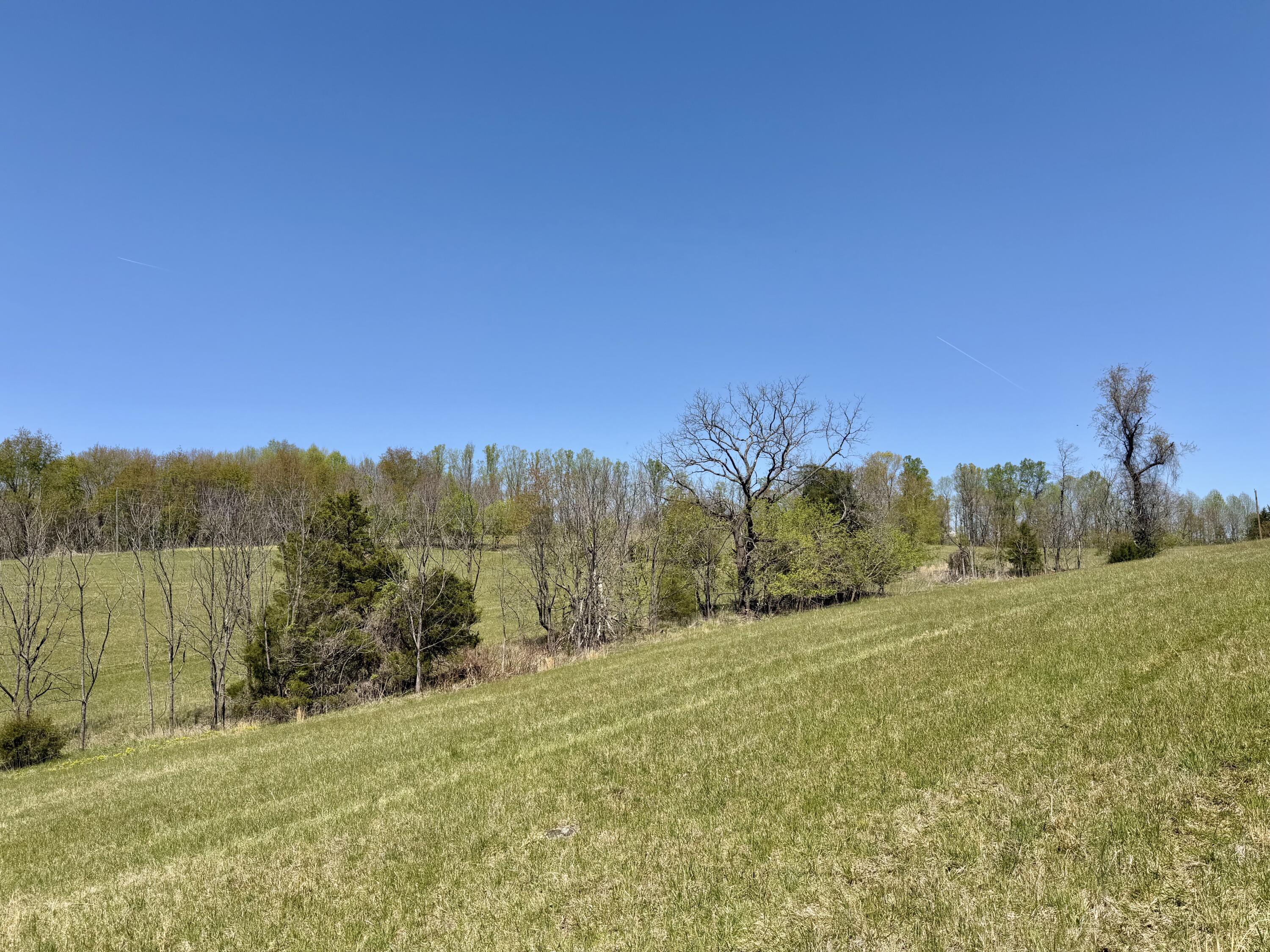 0 Greenhouse Road Glade Hill, VA 24092 - Photo 43 of 45 a view of a yard with a house