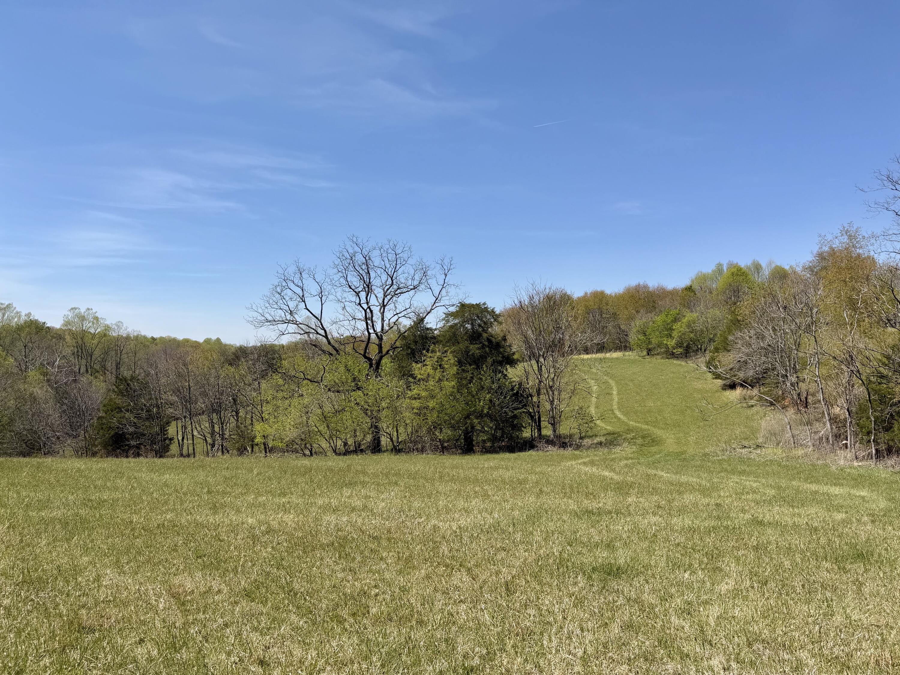 0 Greenhouse Road Glade Hill, VA 24092 - Photo 9 of 45 a view of a yard with a tree