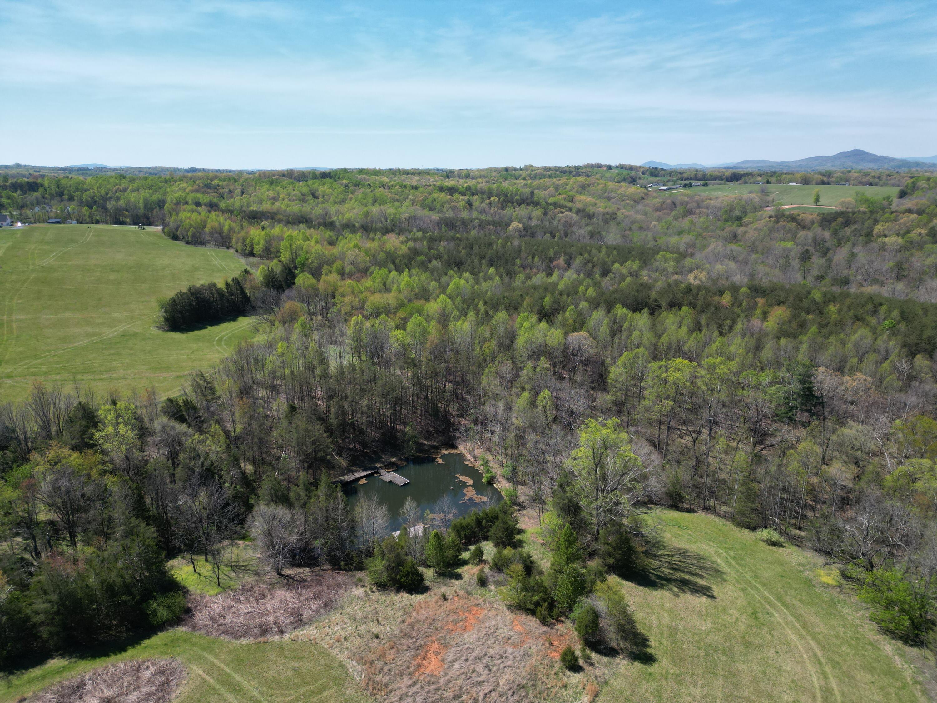 0 Greenhouse Road Glade Hill, VA 24092 - Photo 10 of 45 a view of a city with lush green forest