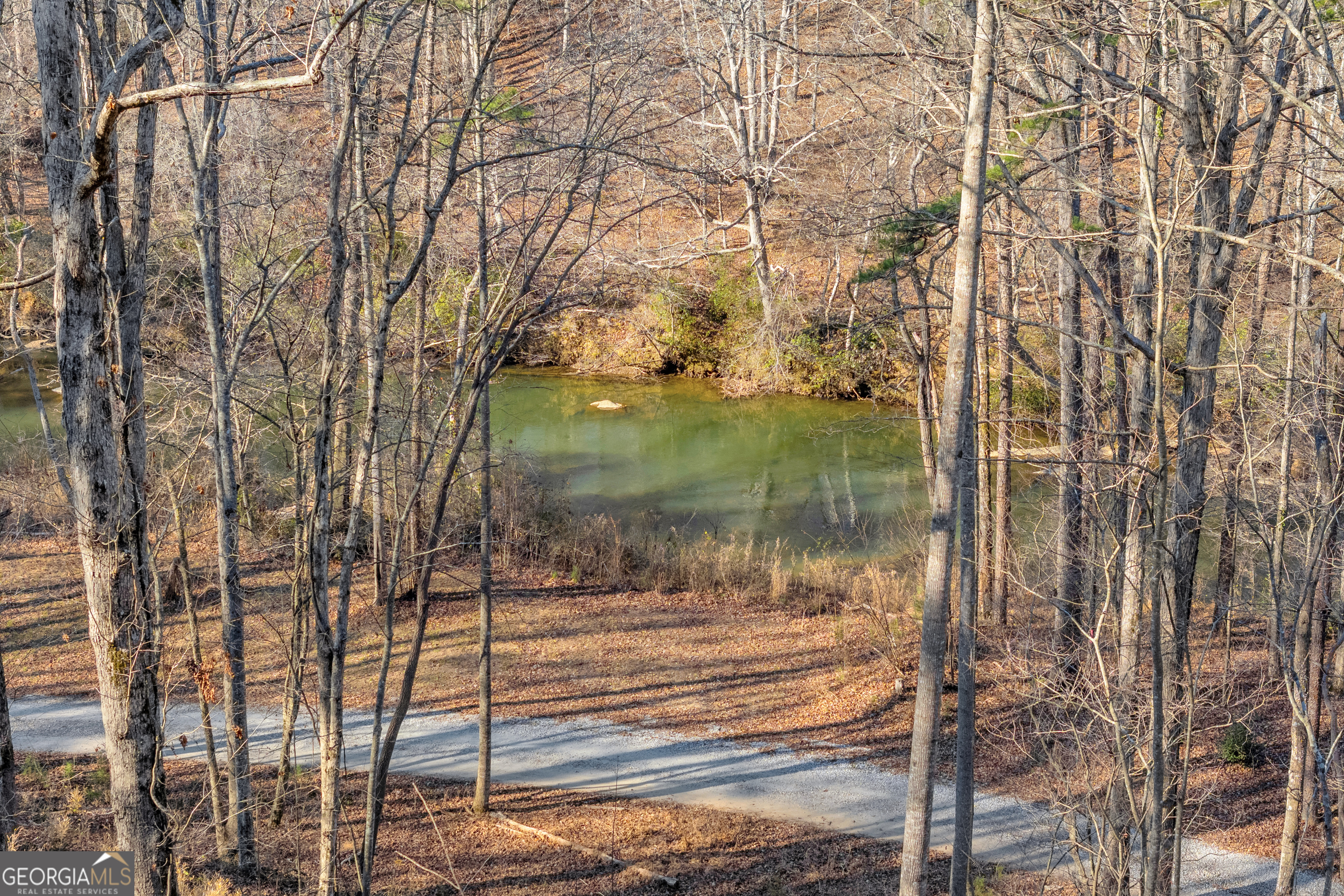 699 Cobblestone Lane Demorest, GA 30535 - Photo 5 of 94