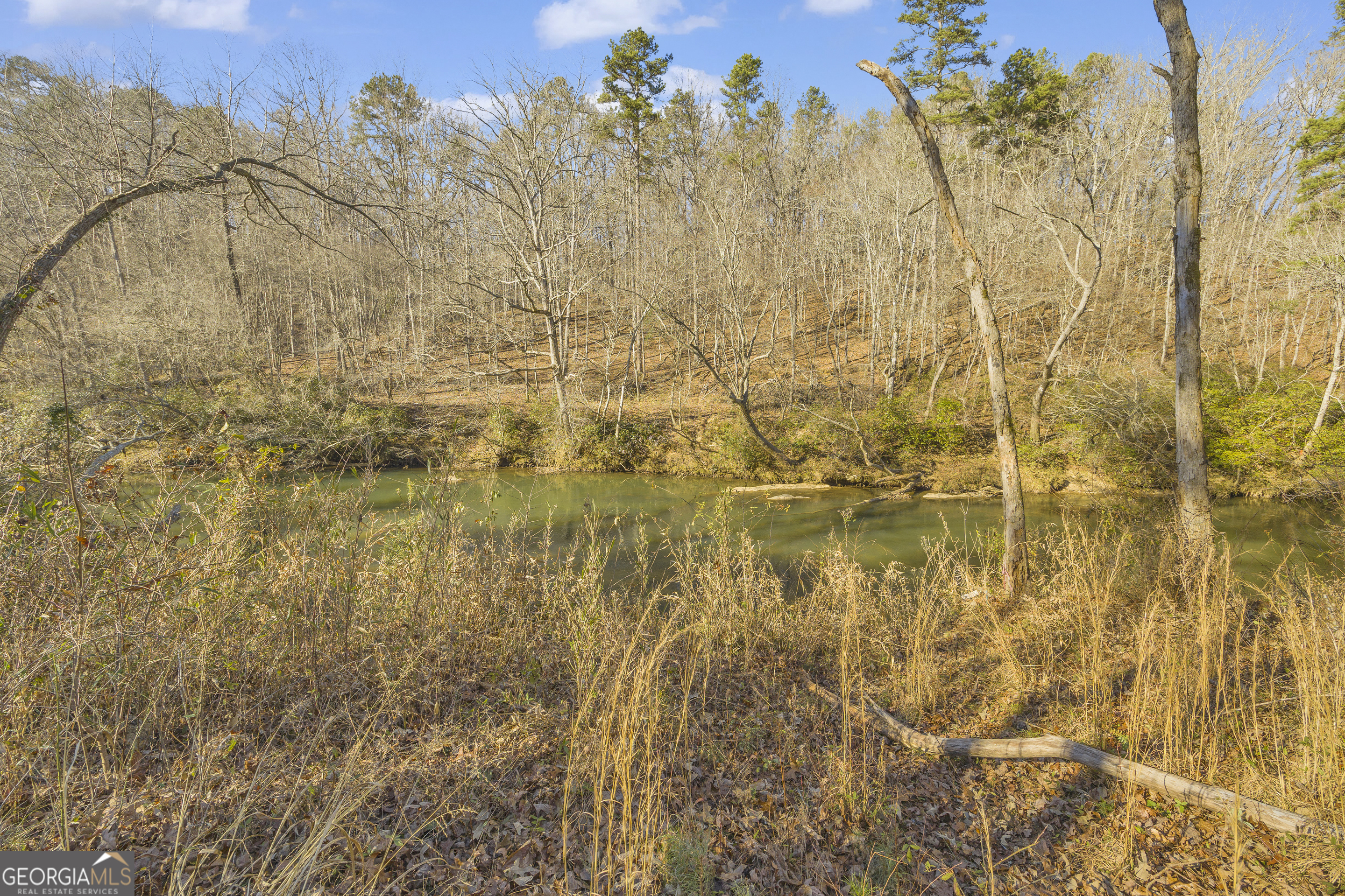 699 Cobblestone Lane Demorest, GA 30535 - Photo 89 of 94