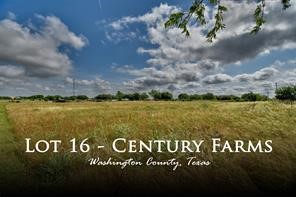 3888 Wonder Hill Road Brenham, TX 77833 - Photo 4 of 6