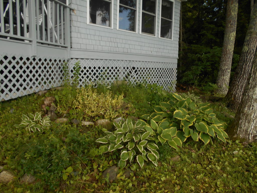 138 Lake Road Frankfort, ME 04438 - Photo 30 of 31 crane28