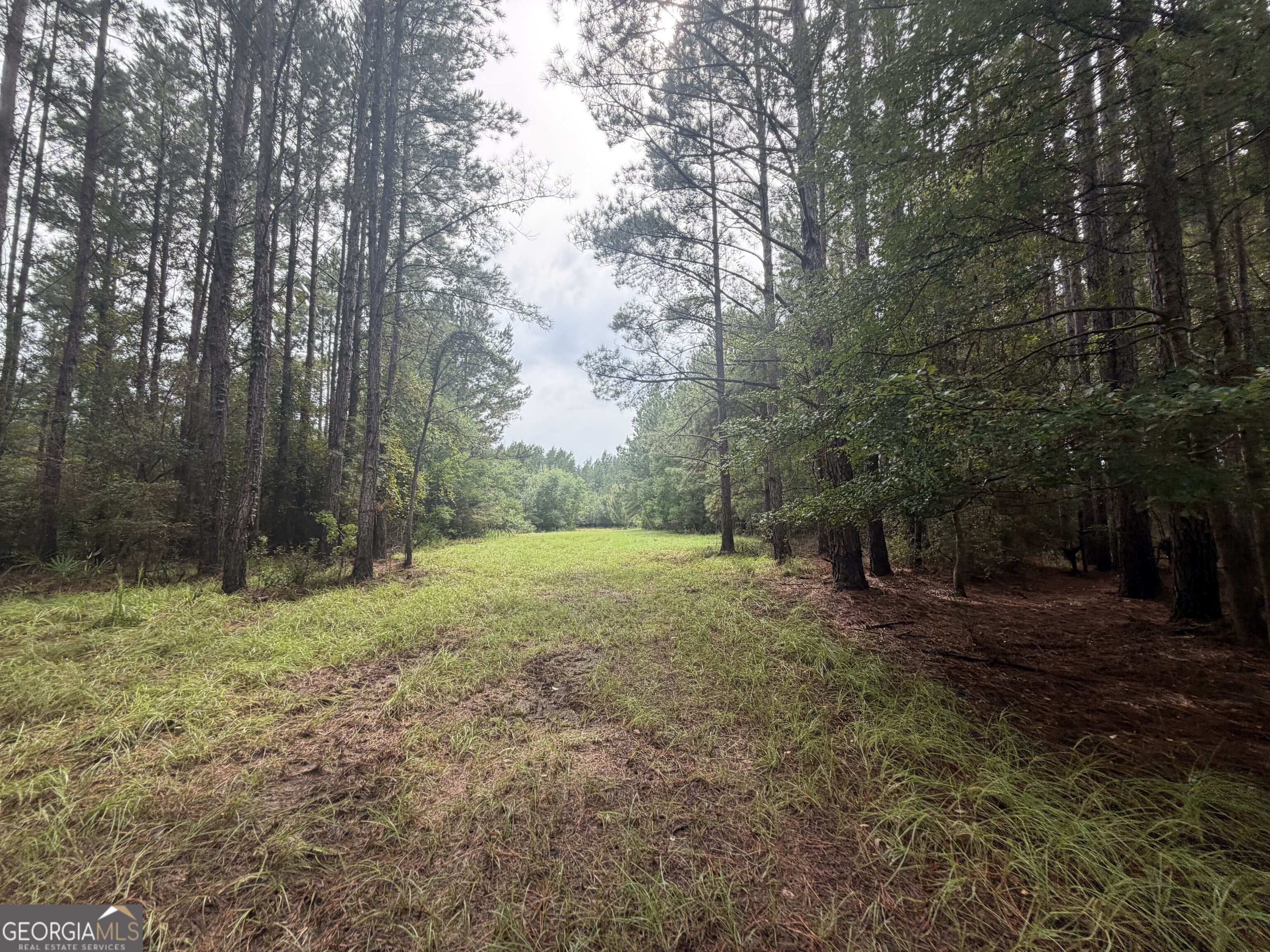 0 Jamestown Road Waycross, GA 31503 - Photo 51 of 92 Gallery Image 51