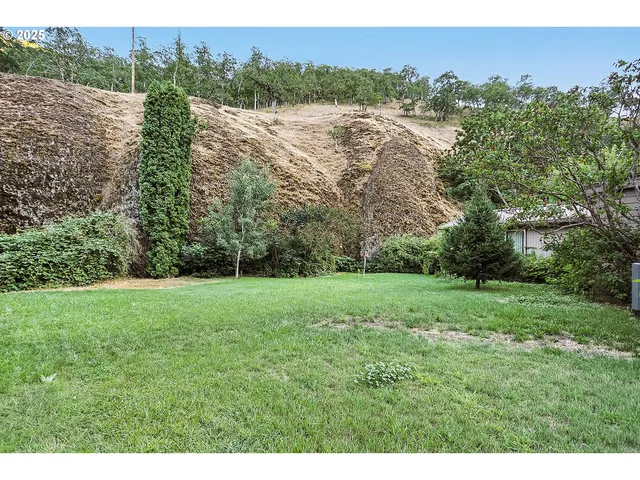 a view of a backyard with plants