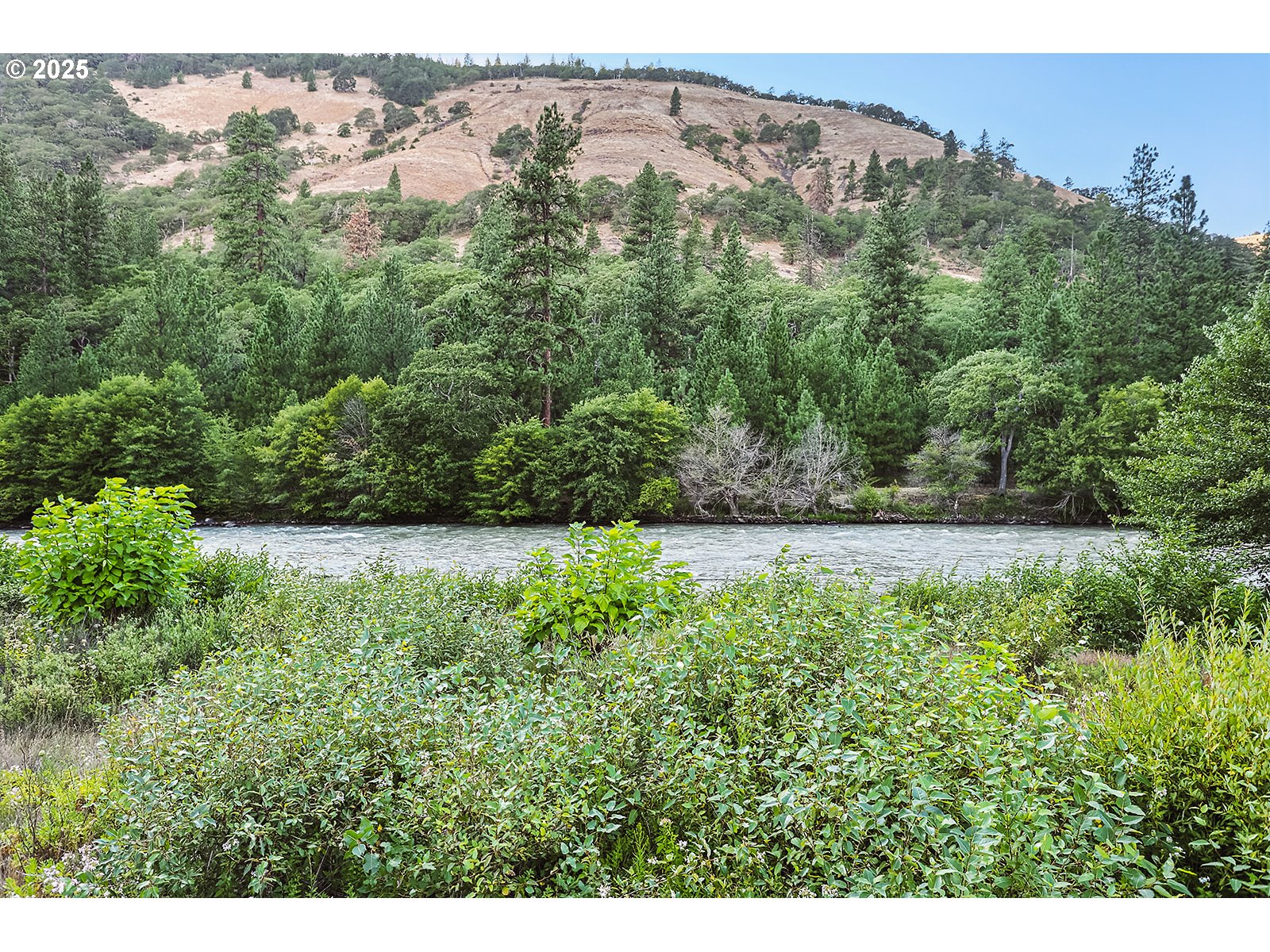 850 Highway 142 Lyle, WA 98635 - Photo 36 of 39 a view of a yard with an trees