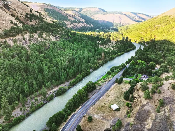 a view of a yard with potted plants