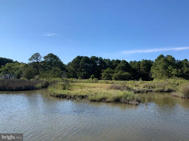 a view of a lake with houses in the background