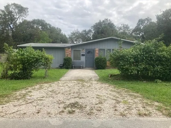 a backyard of a house with plants and large tree