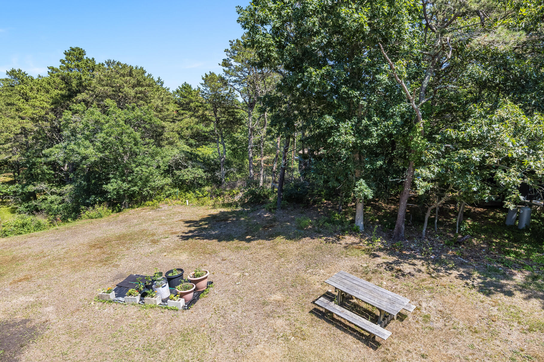 23 Old Bridge Road Truro, MA 02666 - Photo 30 of 44 a backyard of a house with lots of green space