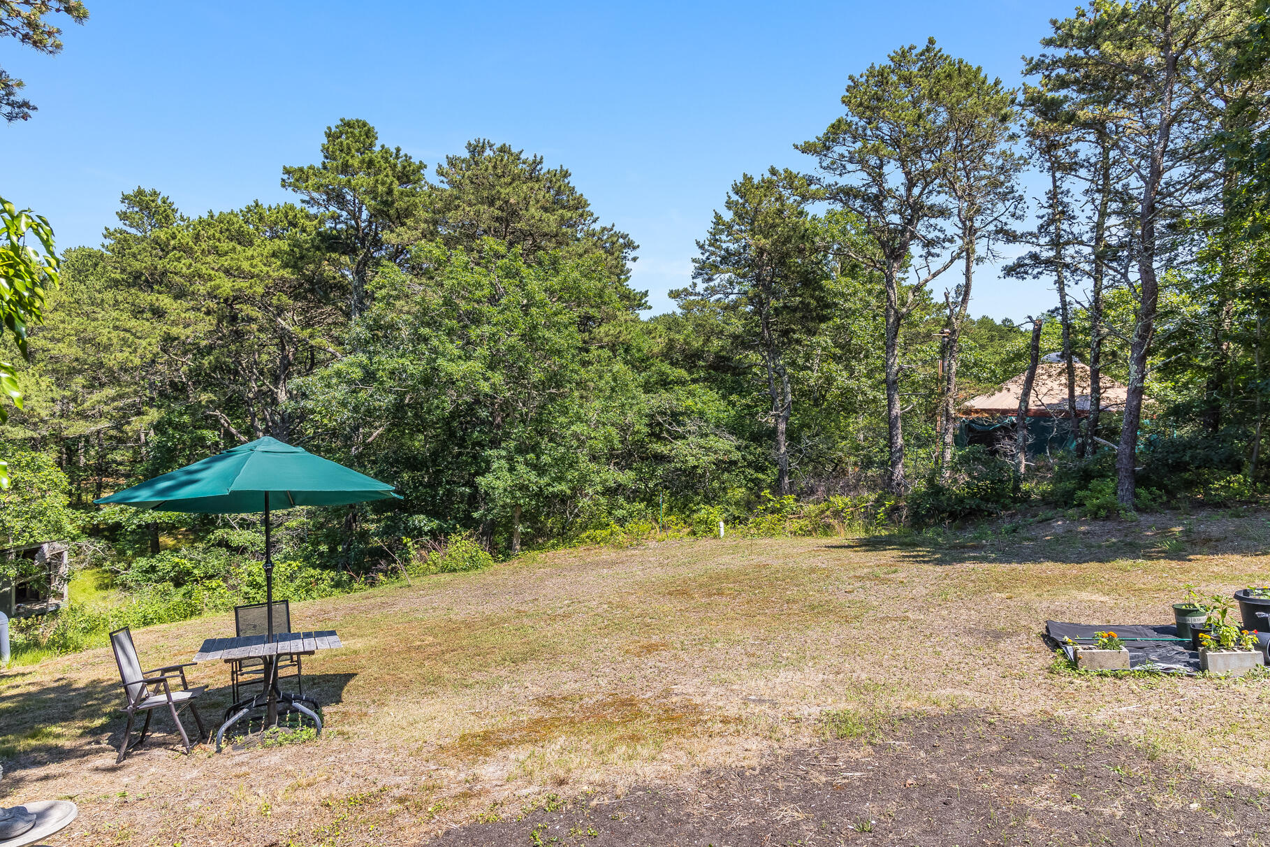 23 Old Bridge Road Truro, MA 02666 - Photo 8 of 44 a view of backyard with outdoor seating and trees