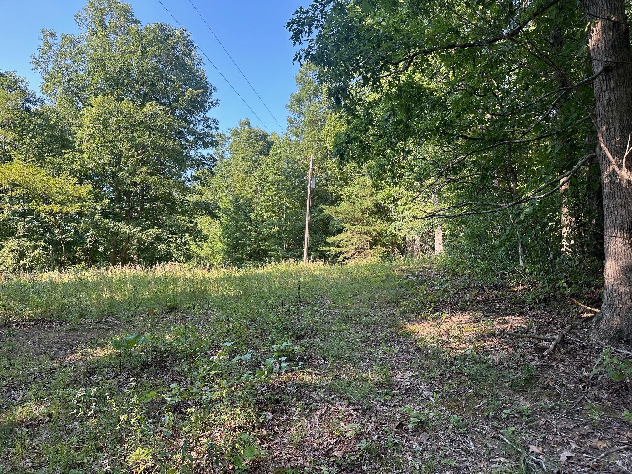 1 Prater Road Pikeville, TN 37367 - Photo 12 of 28 Gallery Image 12