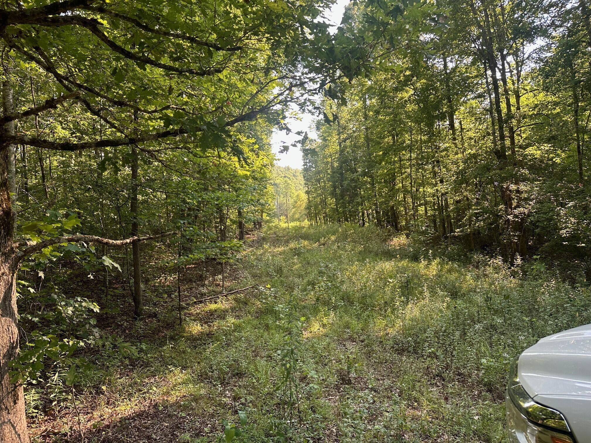 1 Prater Road Pikeville, TN 37367 - Photo 2 of 28 Gallery Image 2
