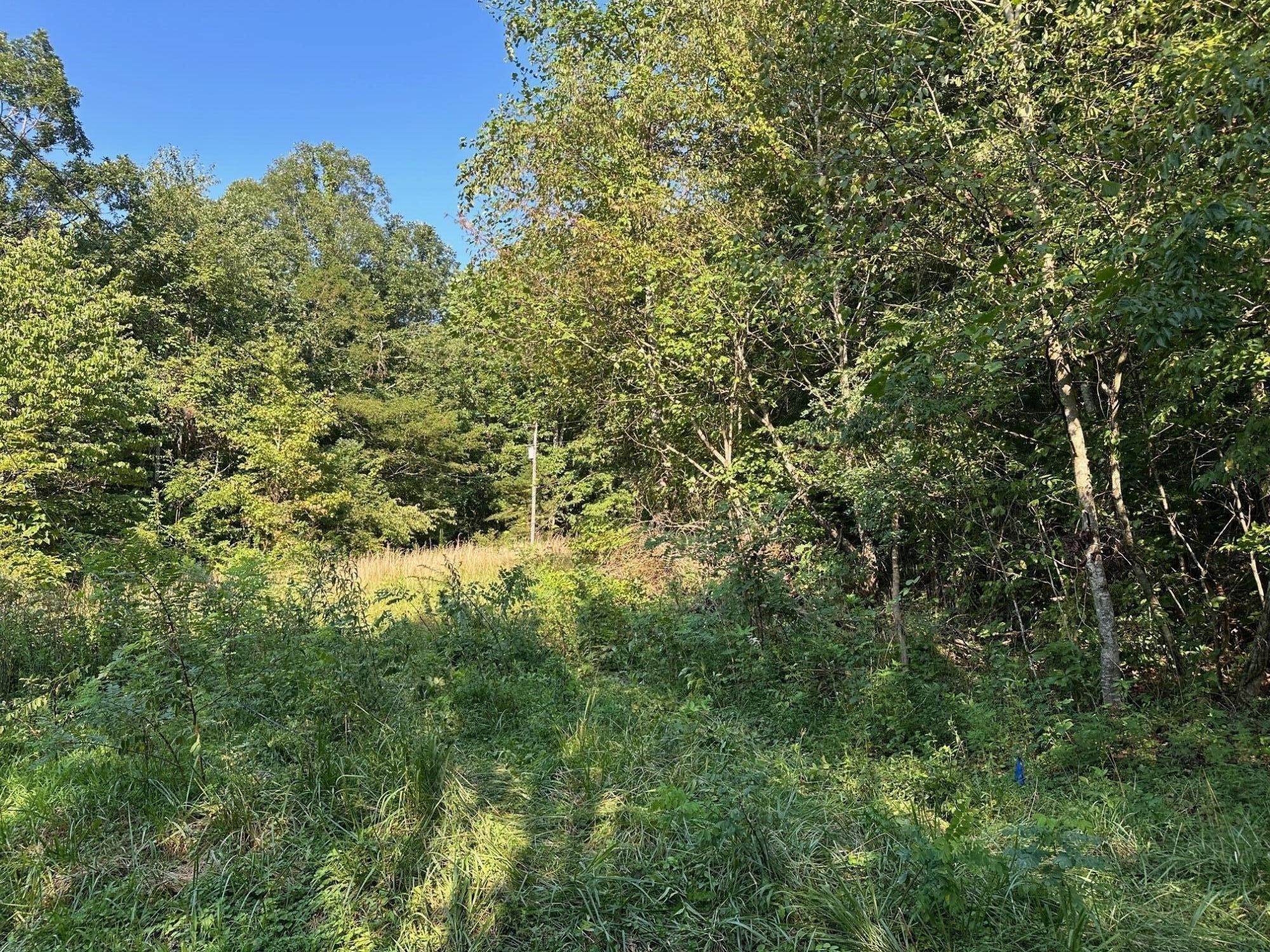 1 Prater Road Pikeville, TN 37367 - Photo 3 of 28 Gallery Image 3