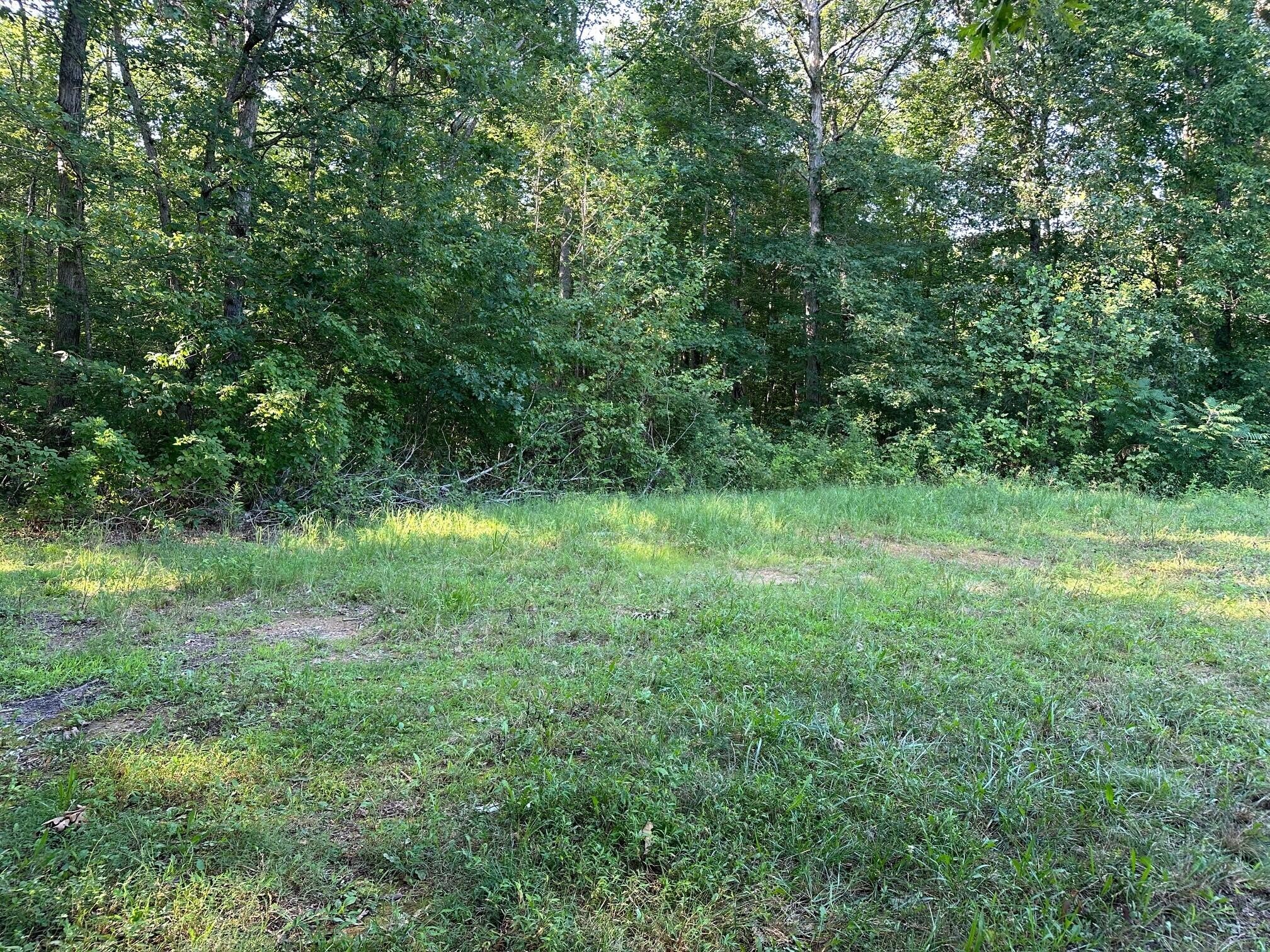 1 Prater Road Pikeville, TN 37367 - Photo 5 of 28 Gallery Image 5