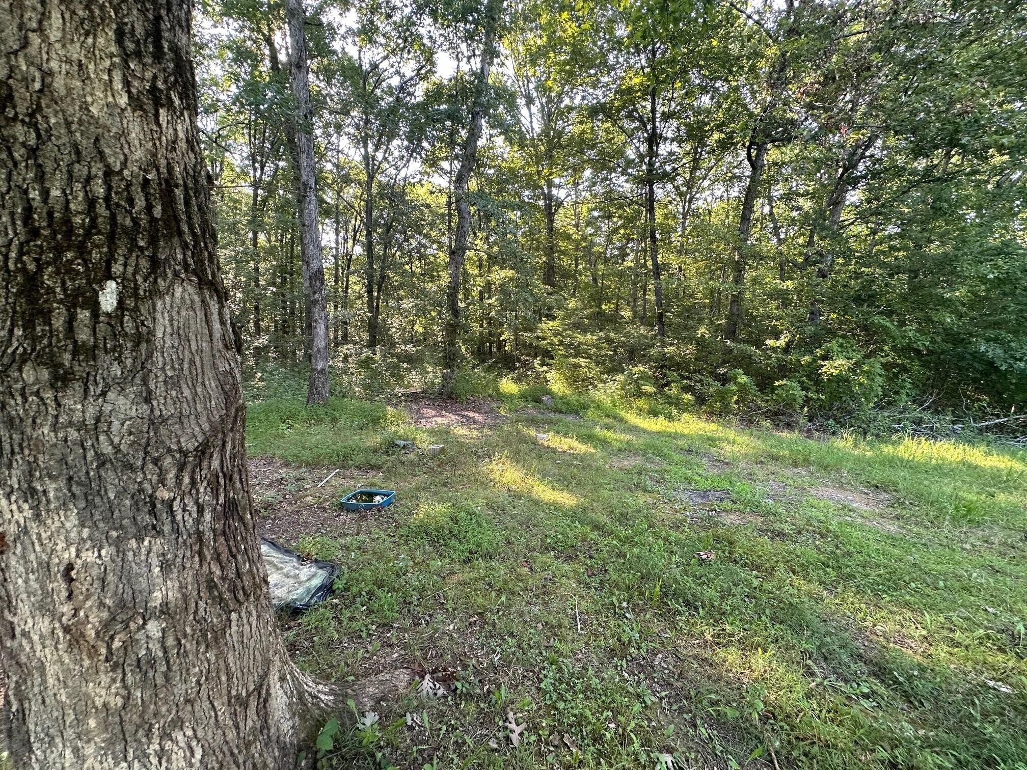 1 Prater Road Pikeville, TN 37367 - Photo 7 of 28 Gallery Image 7