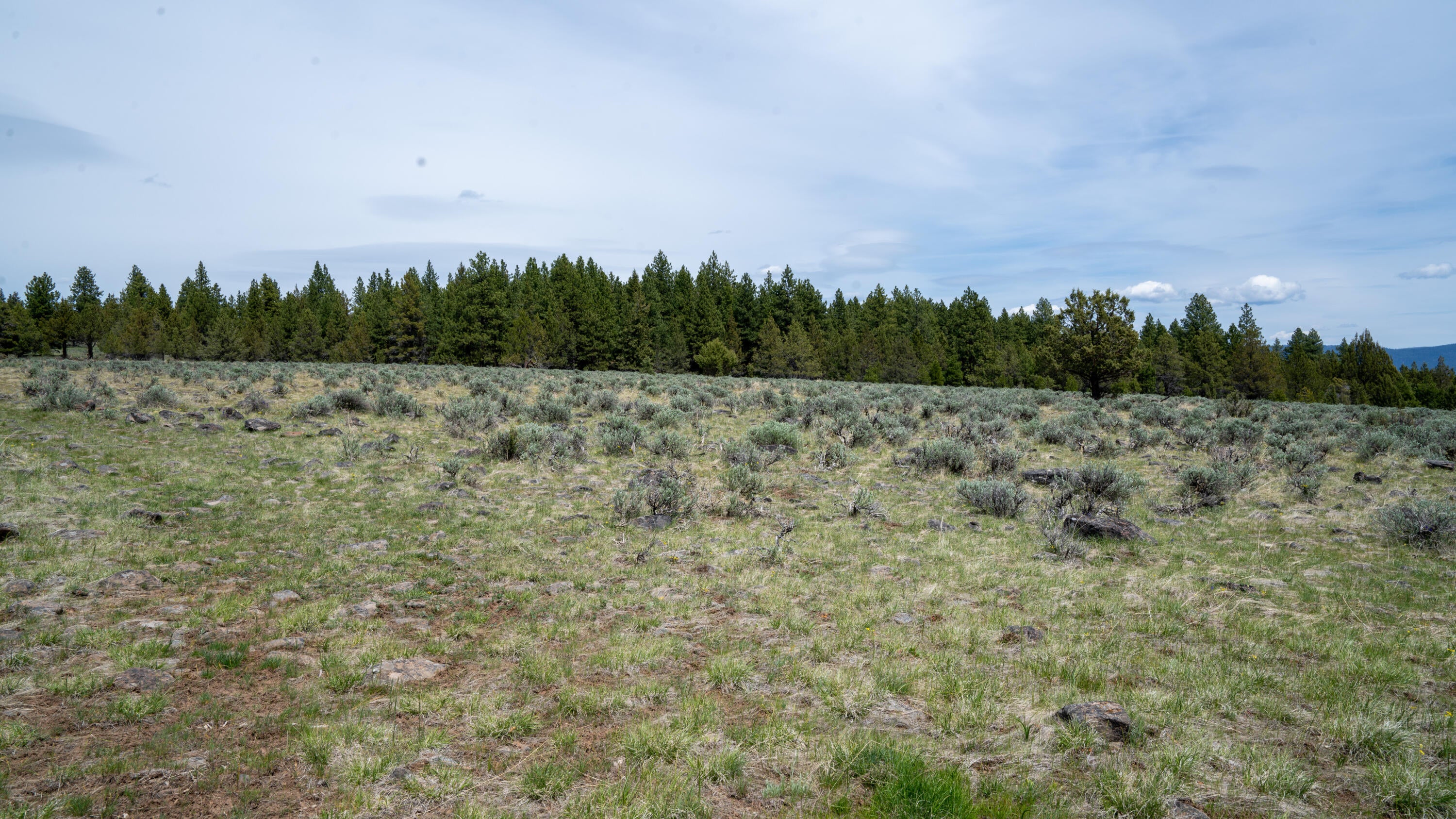 Keeney Fork Rd Prairie Prairie City, OR 97869 - Photo 16 of 61 DSC00831