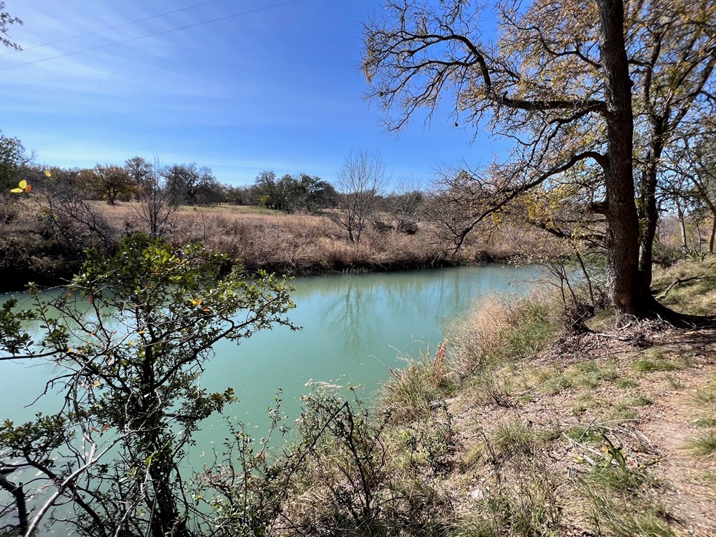 595 Vine Ripe Road Fredericksburg, TX 78624 - Photo 8 of 9 Gallery Image 8