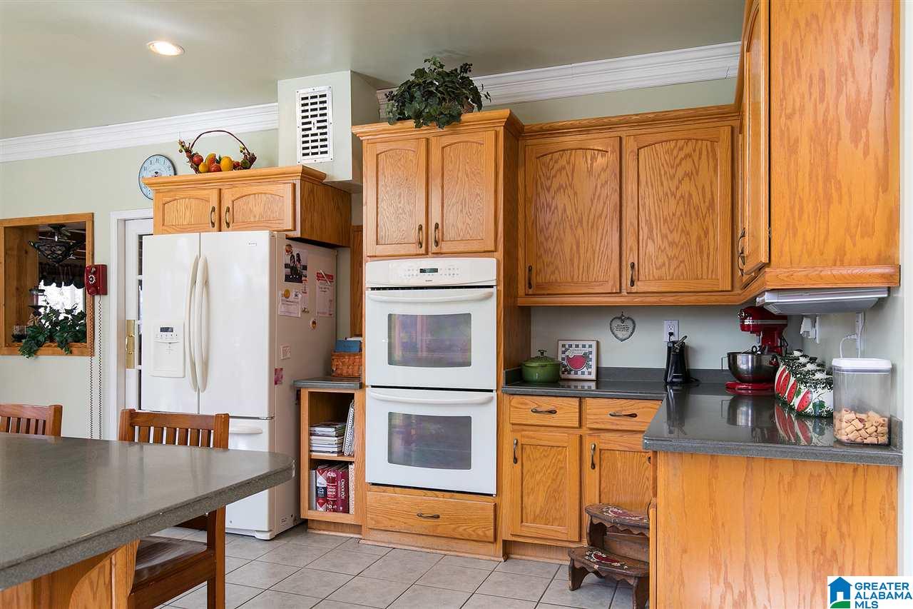 401 Lakeshore Loop Oneonta, AL 35121 - Photo 10 of 46