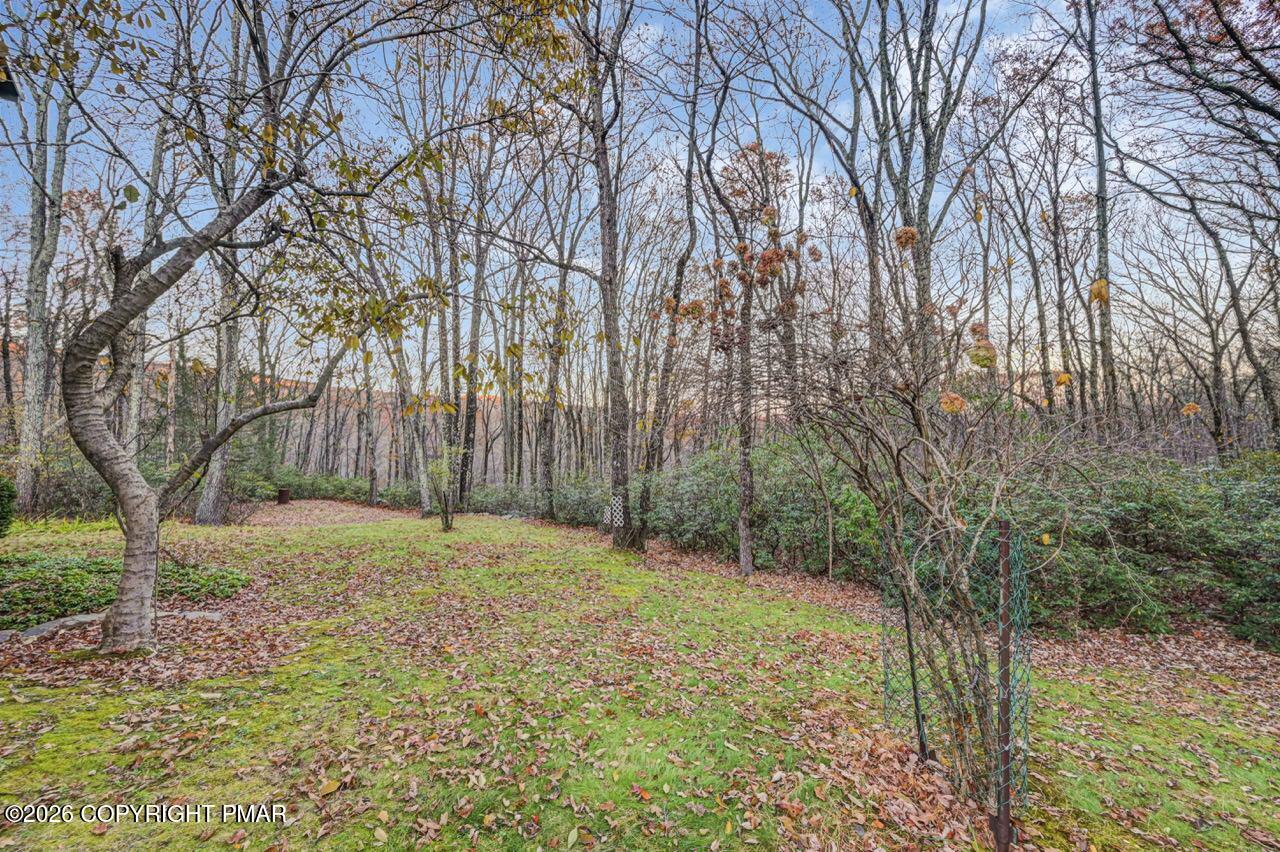 384 Devils Hole Road Cresco, PA 18326 - Photo 86 of 97 384 Devils Hole Rd 90 Large