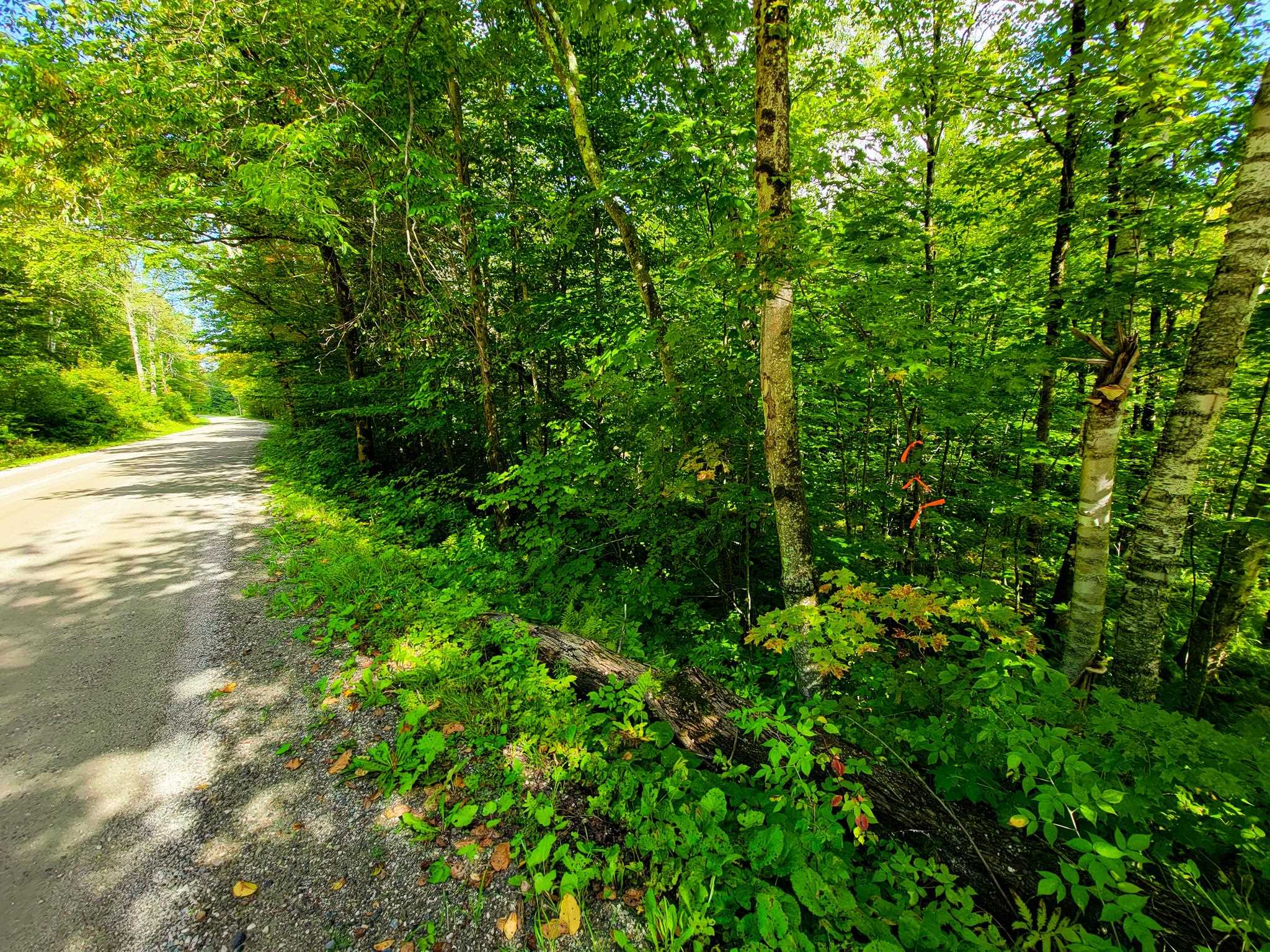 3005 Ireland Road Starksboro, VT 05487 - Photo 32 of 38