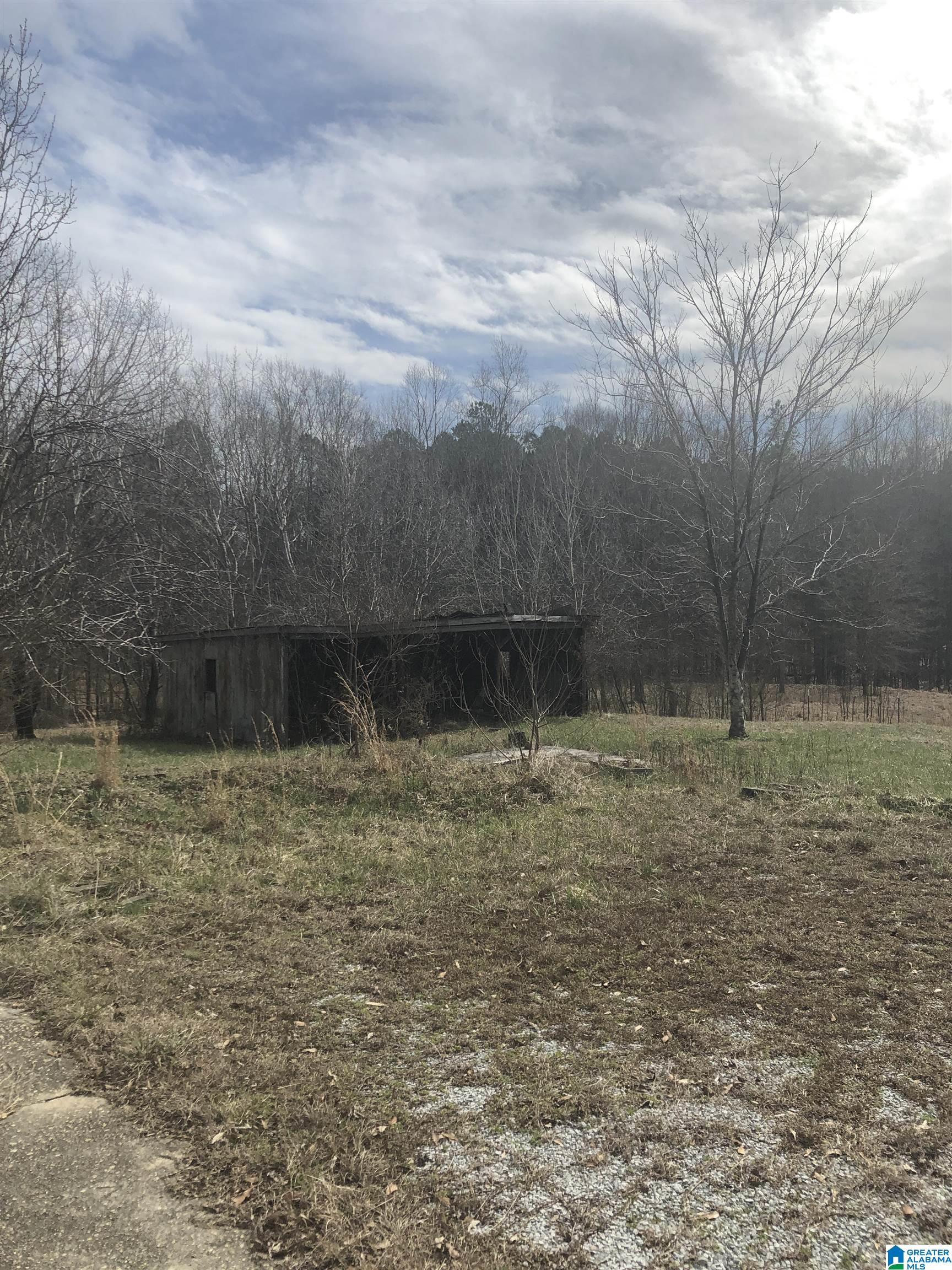 297 Smith Road Jemison, AL 35085 - Photo 19 of 20