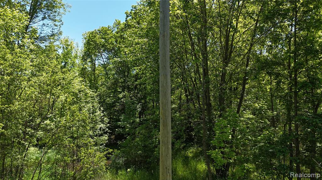 0 Williams Road Gaines, MI 48436 - Photo 23 of 28
