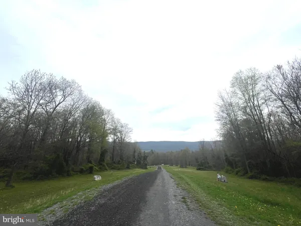 a view of a grassy field with trees