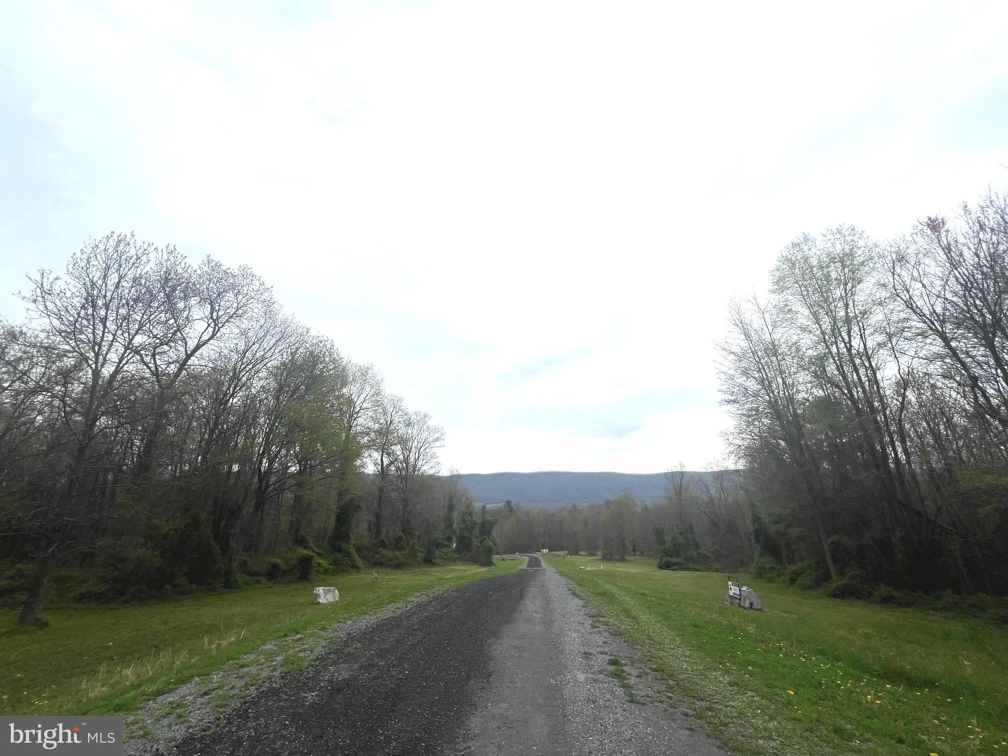 a view of a grassy field with trees