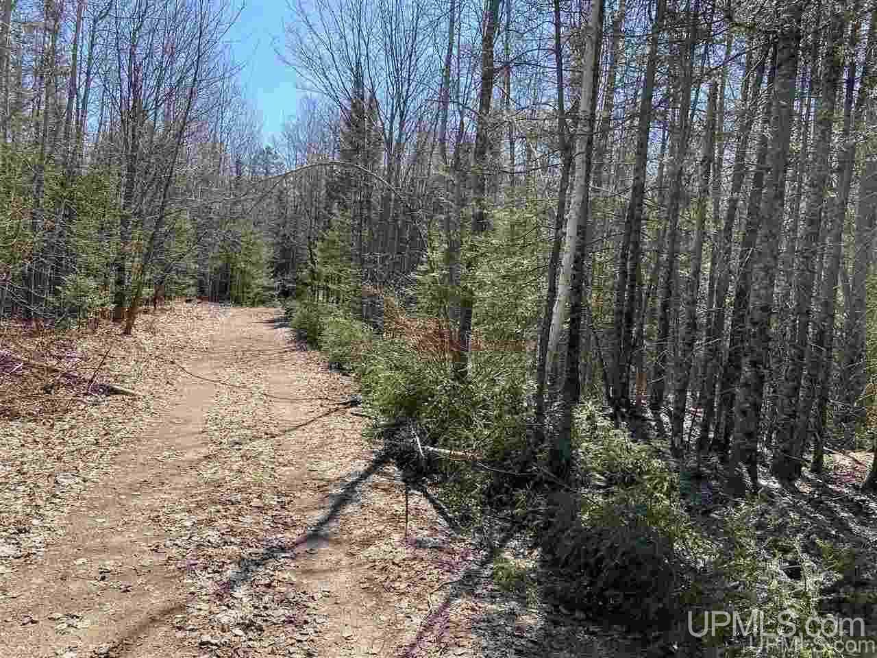 Tbd Tbd Off Powerline Gwinn, MI 49841 - Photo 11 of 28
