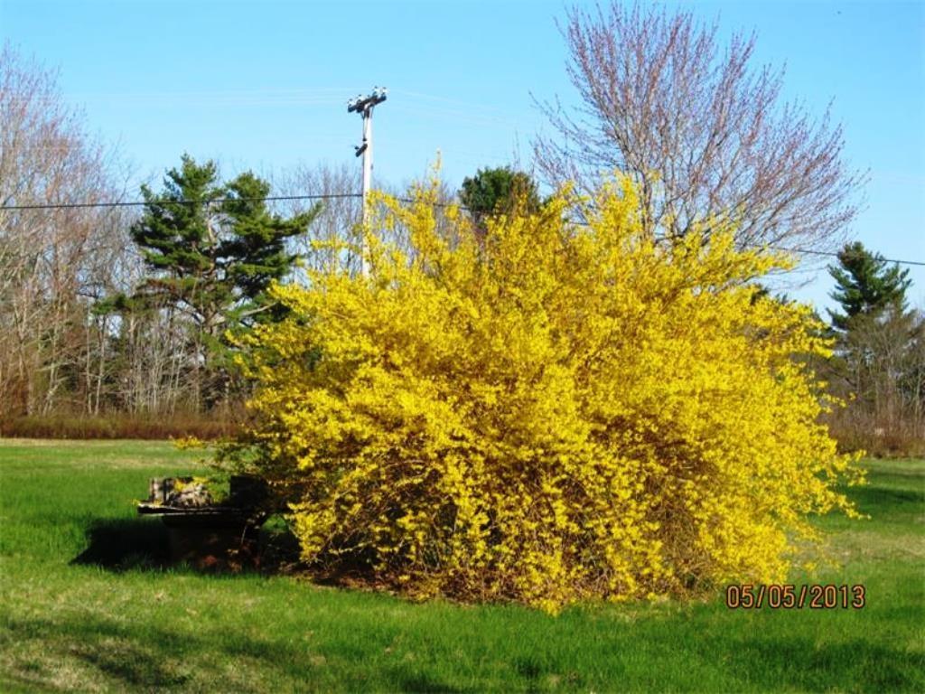 1154 Unionville Road Steuben, ME 04680 - Photo 29 of 33 Photo