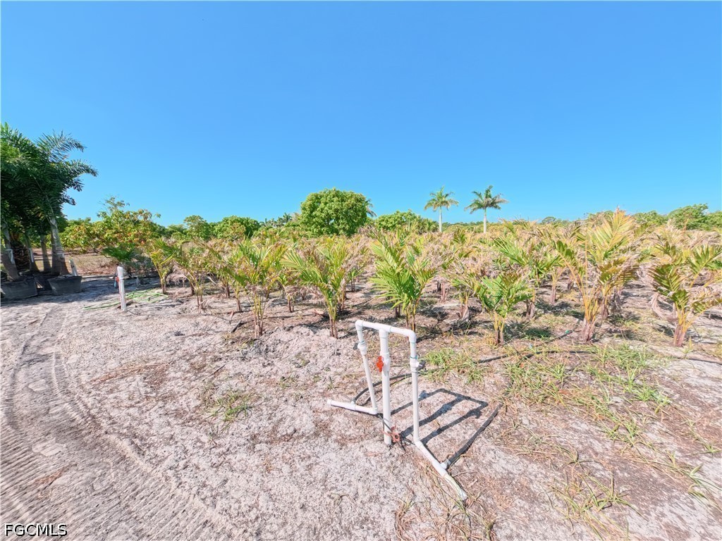 11851 Stringfellow Road Bokeelia, FL 33922 - Photo 19 of 26 a view of an outdoor space and a yard