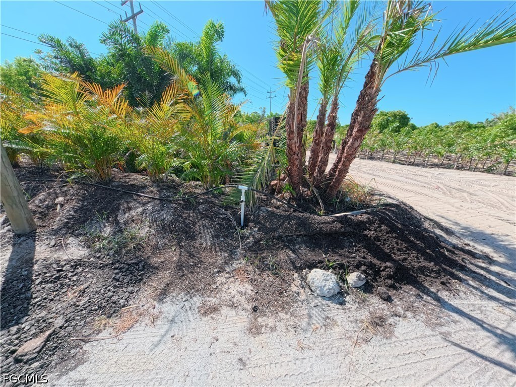 11851 Stringfellow Road Bokeelia, FL 33922 - Photo 20 of 26 a view of a yard with plants and a trees