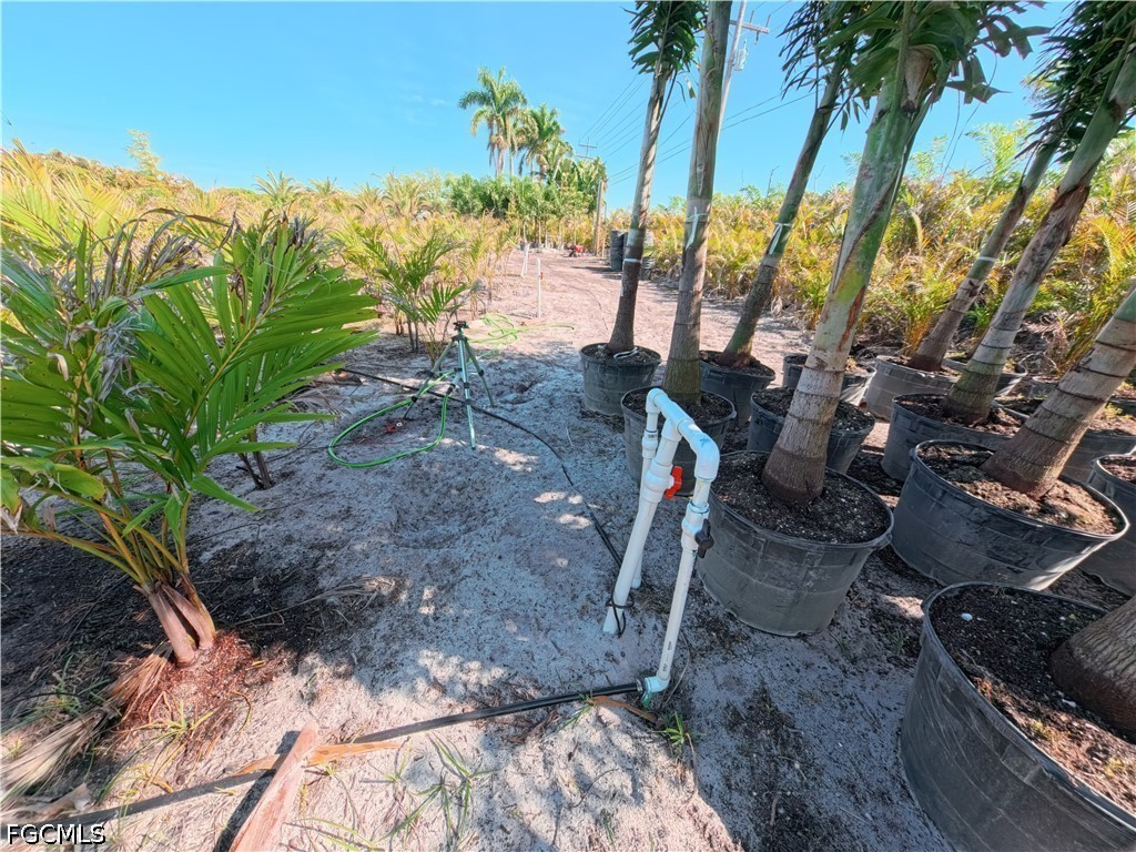 11851 Stringfellow Road Bokeelia, FL 33922 - Photo 21 of 26 a view of a backyard with plants and palm trees