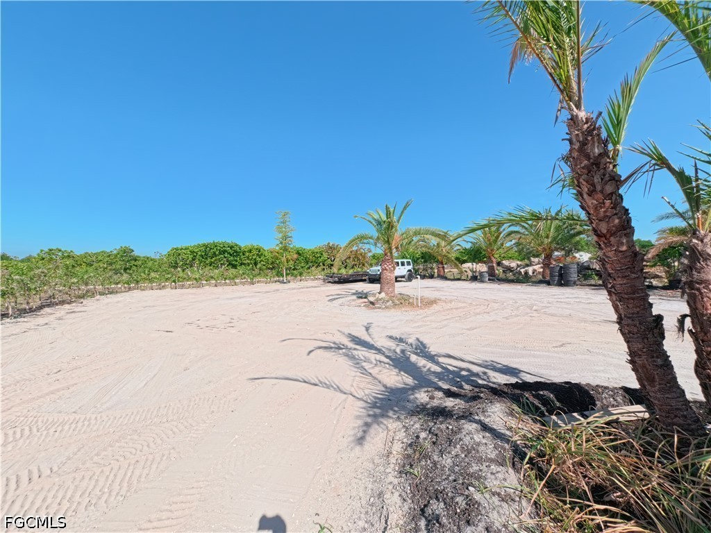 11851 Stringfellow Road Bokeelia, FL 33922 - Photo 24 of 26 a view of ocean beach and a large tree